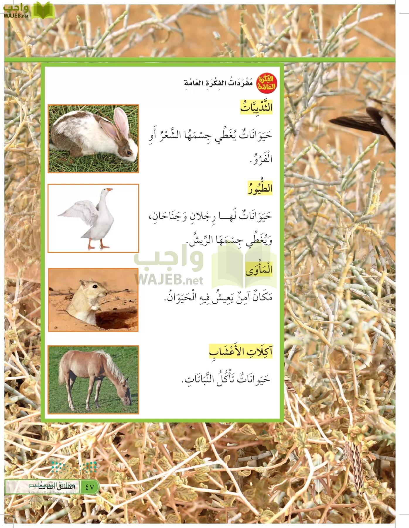 العلوم page-46