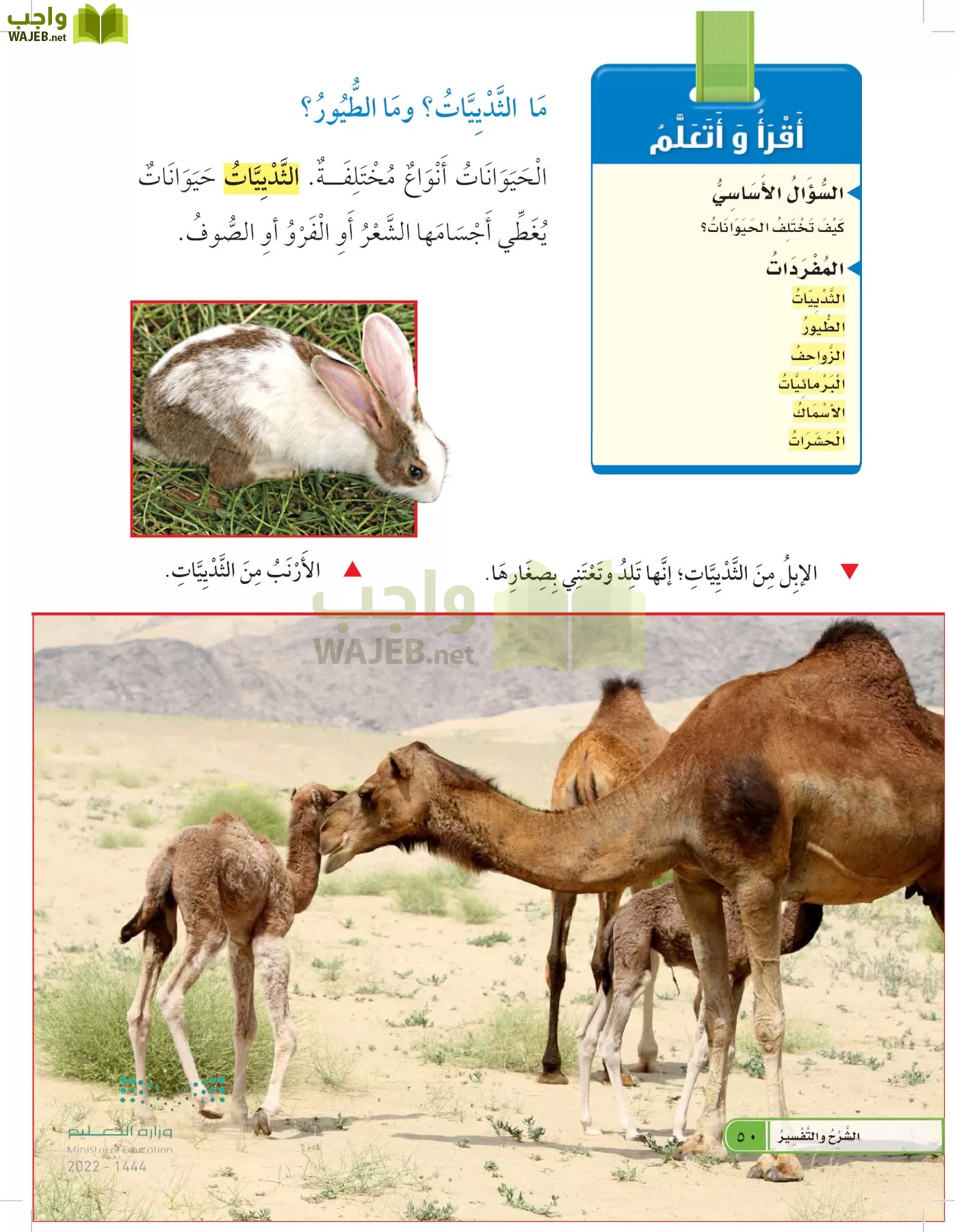 العلوم page-49