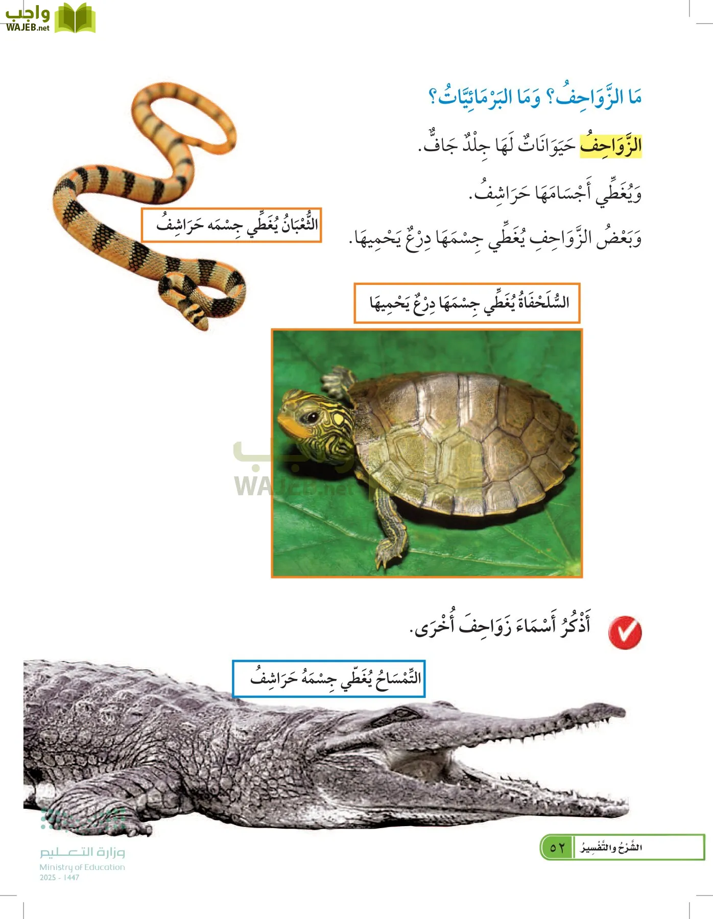 العلوم page-51