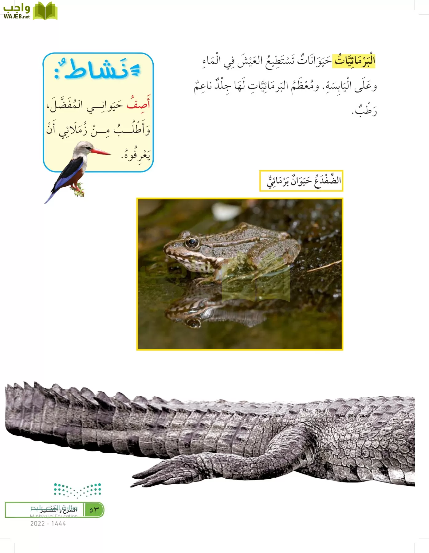 العلوم page-52