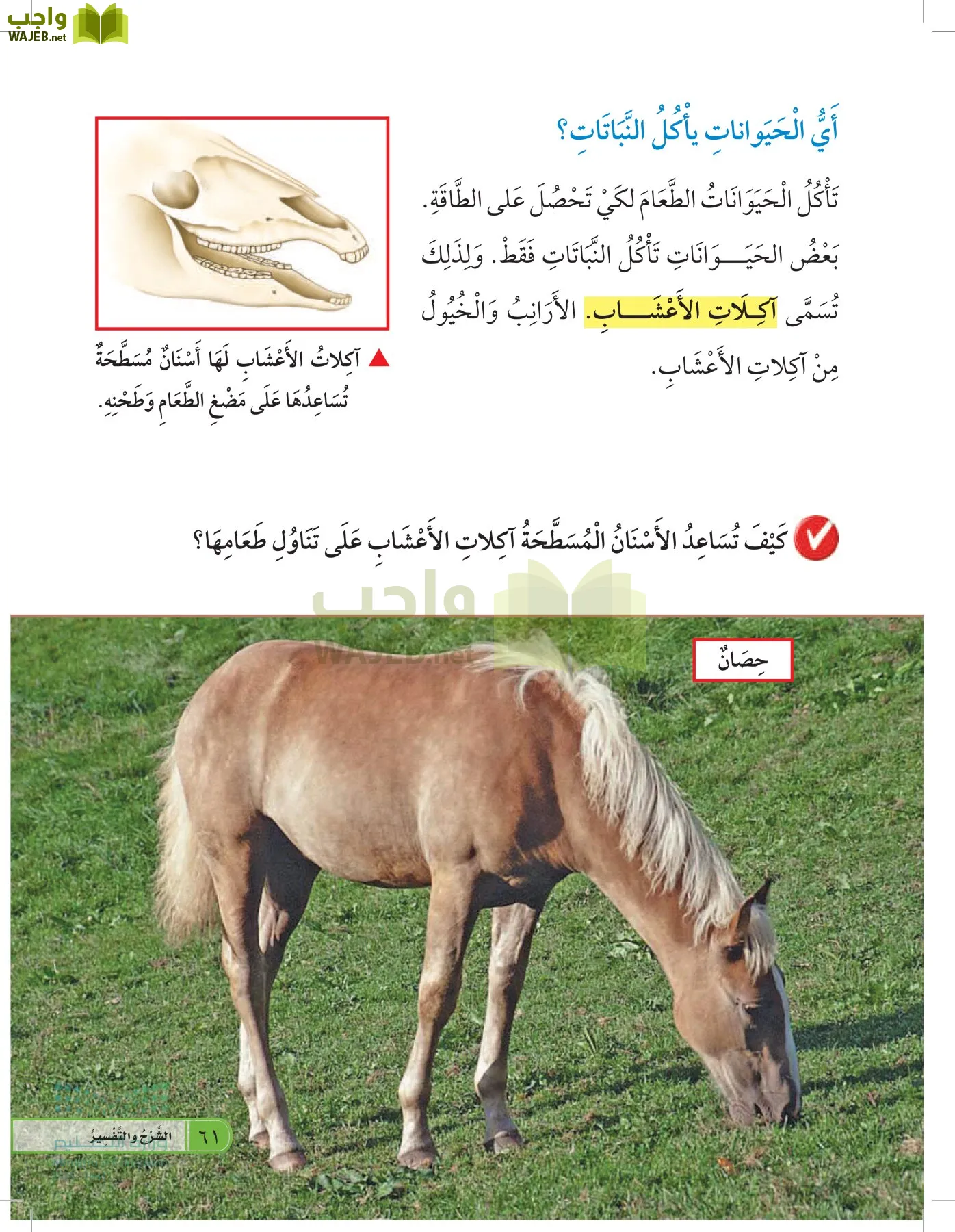 العلوم page-60