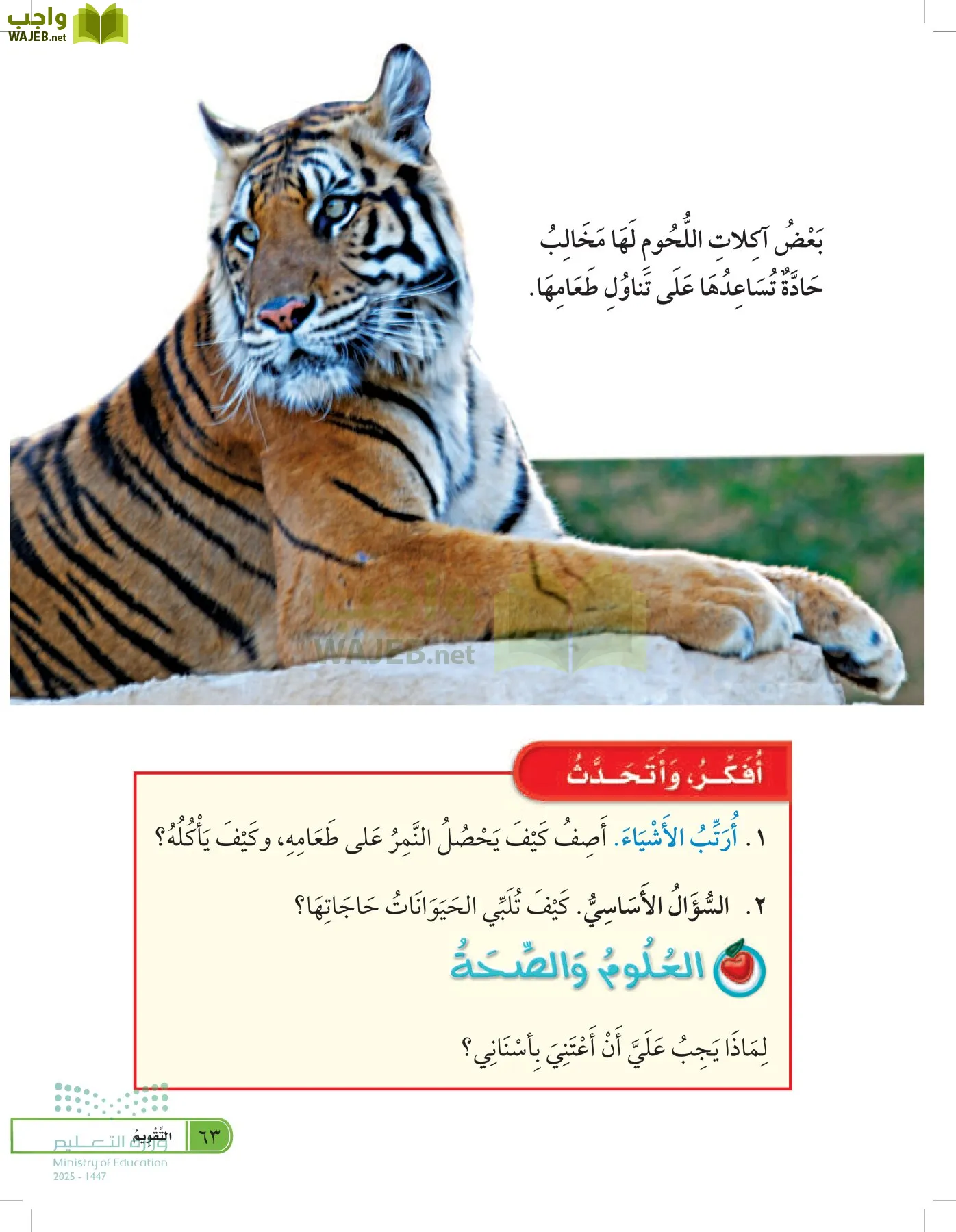 العلوم page-62