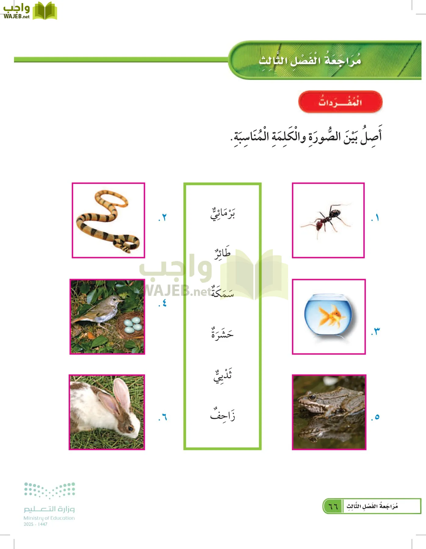 العلوم page-65