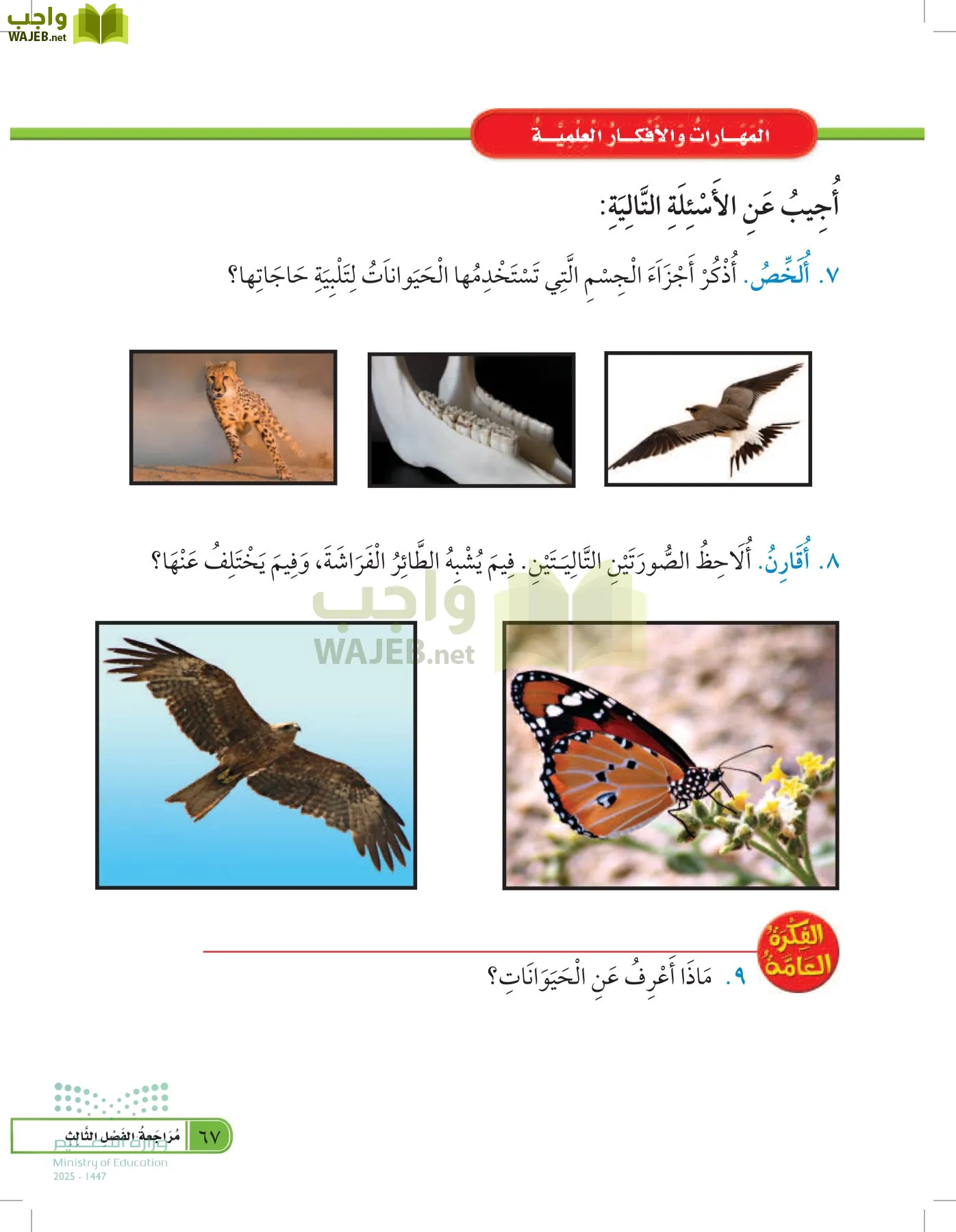 العلوم page-66