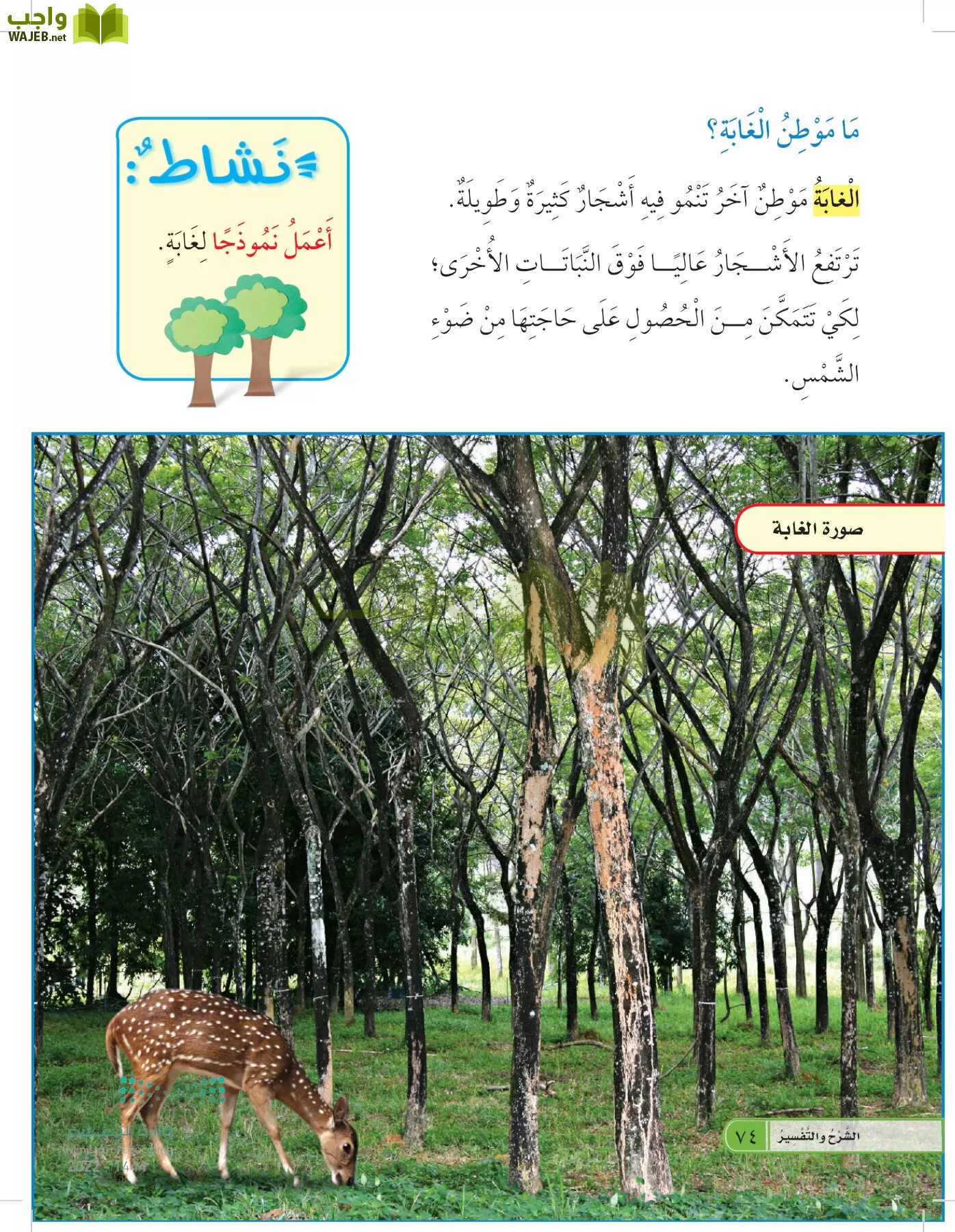 العلوم page-73
