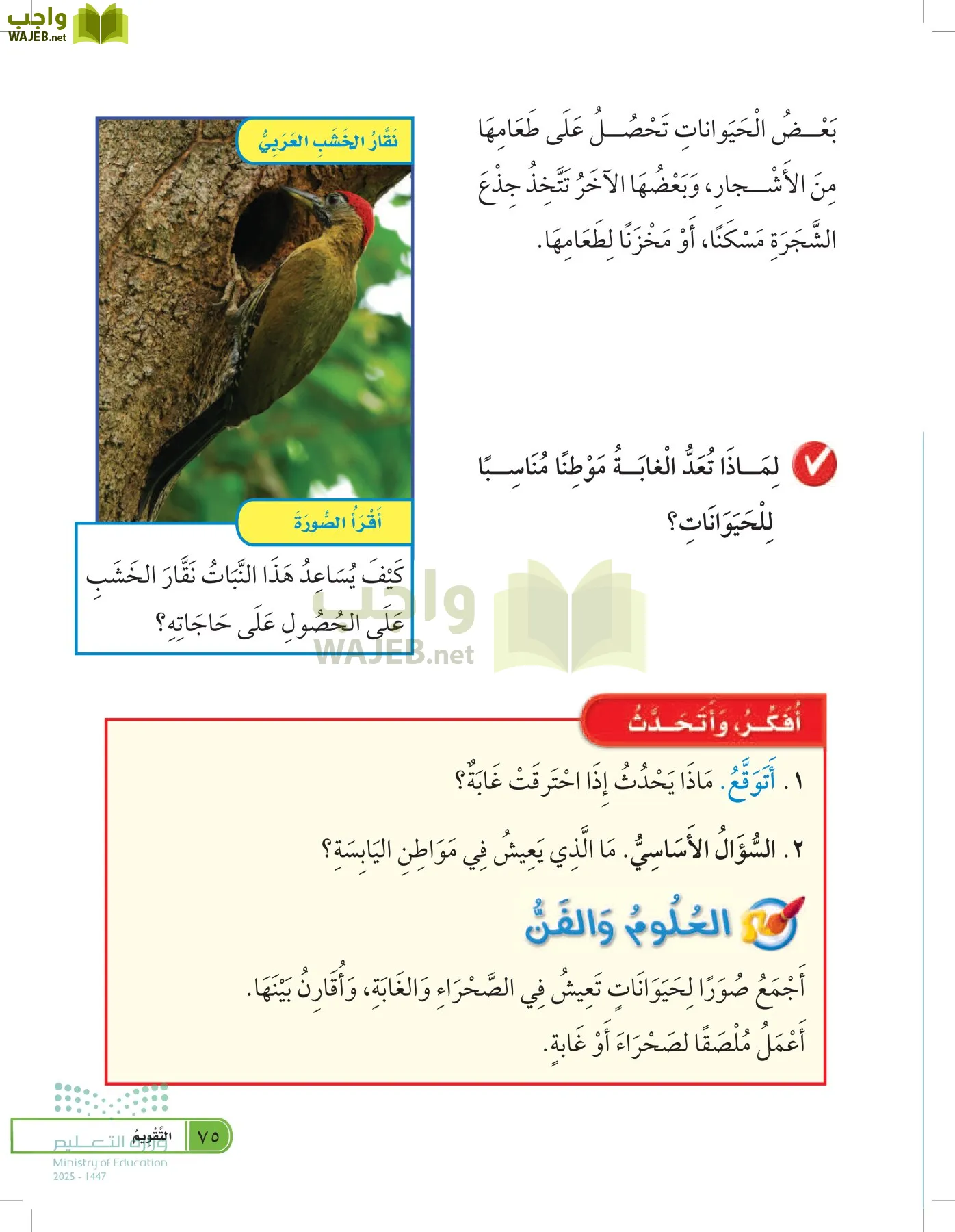 العلوم page-74