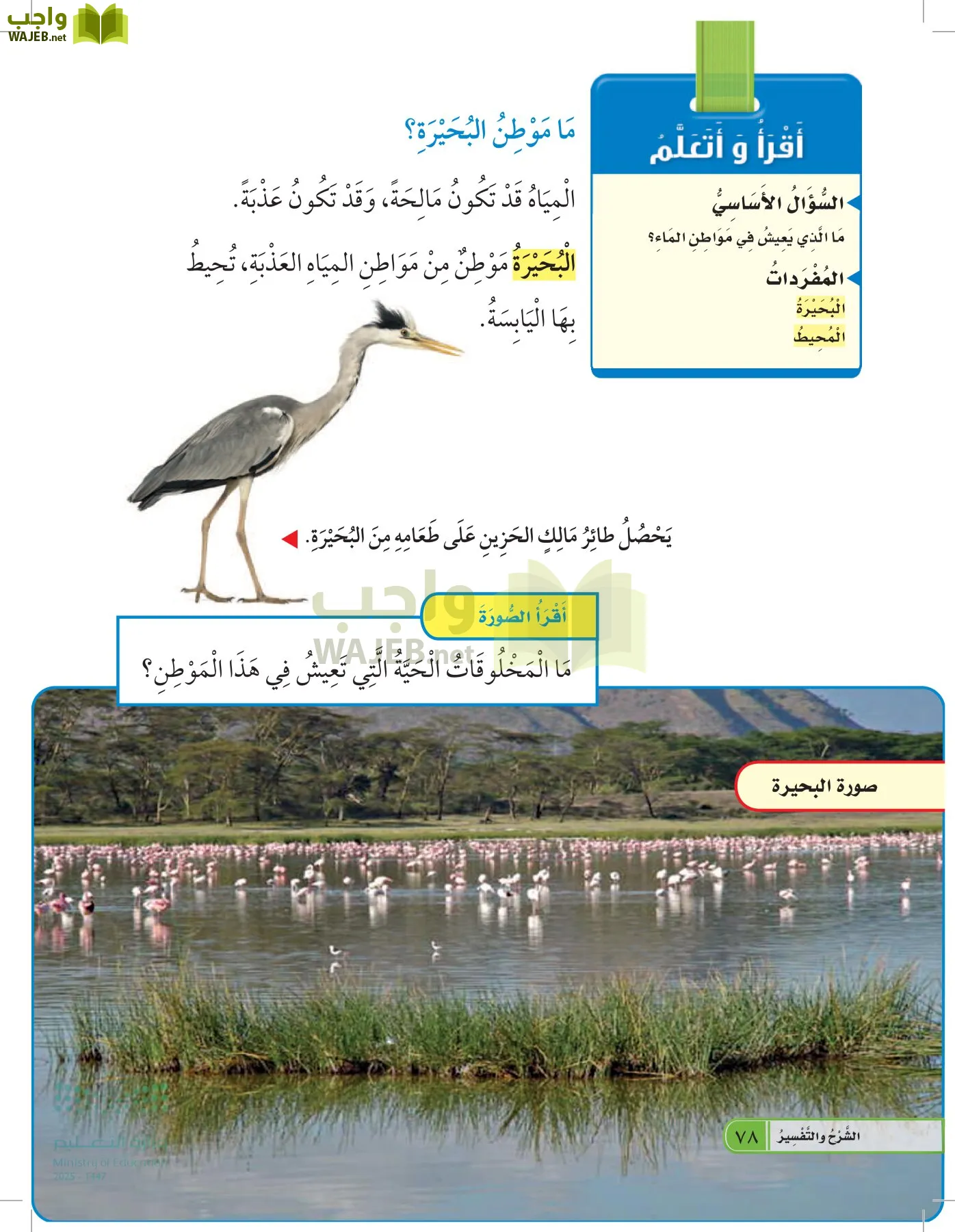 العلوم page-77
