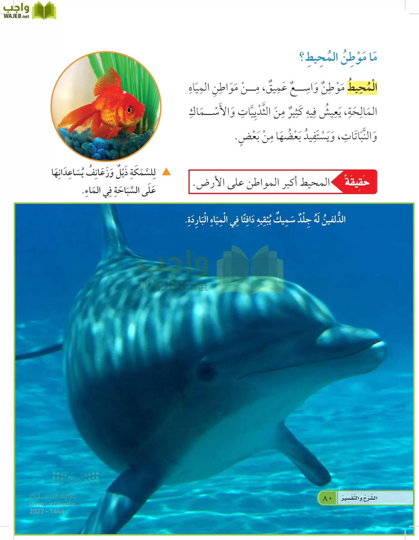 العلوم page-79