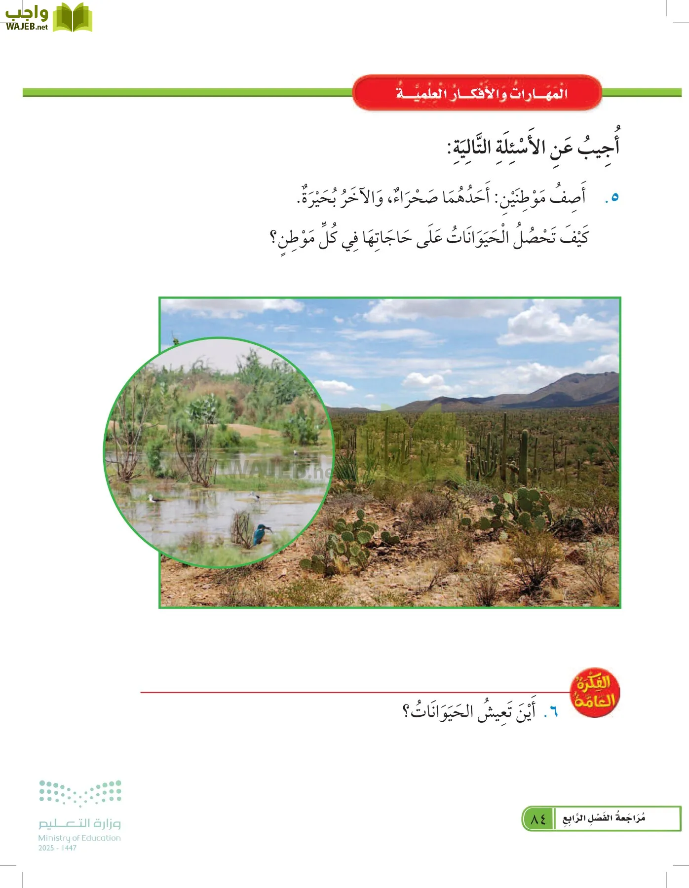 العلوم page-83