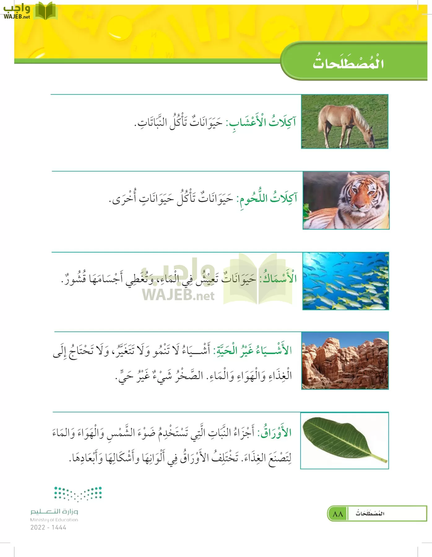 العلوم page-87