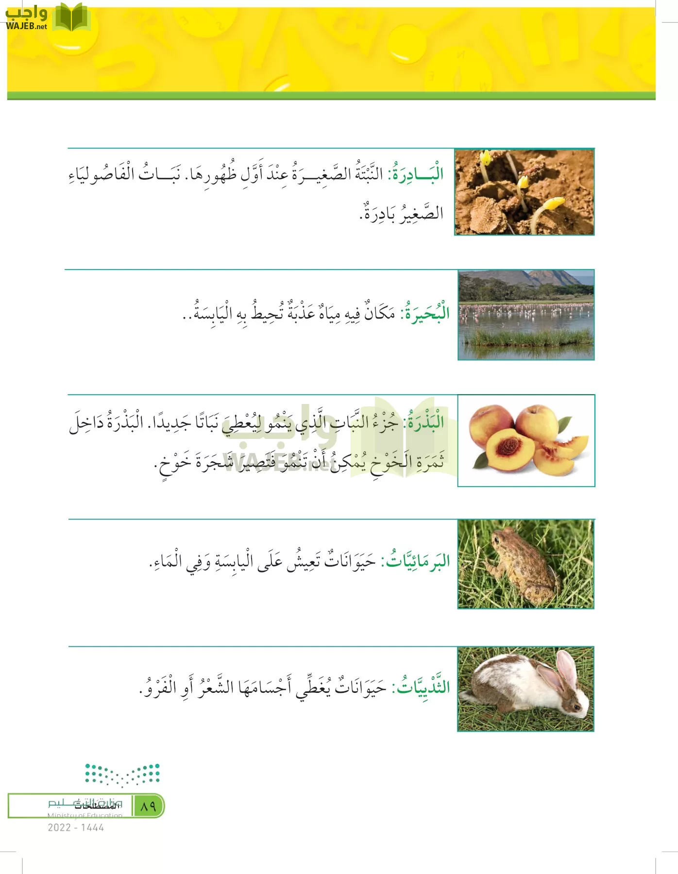 العلوم page-88