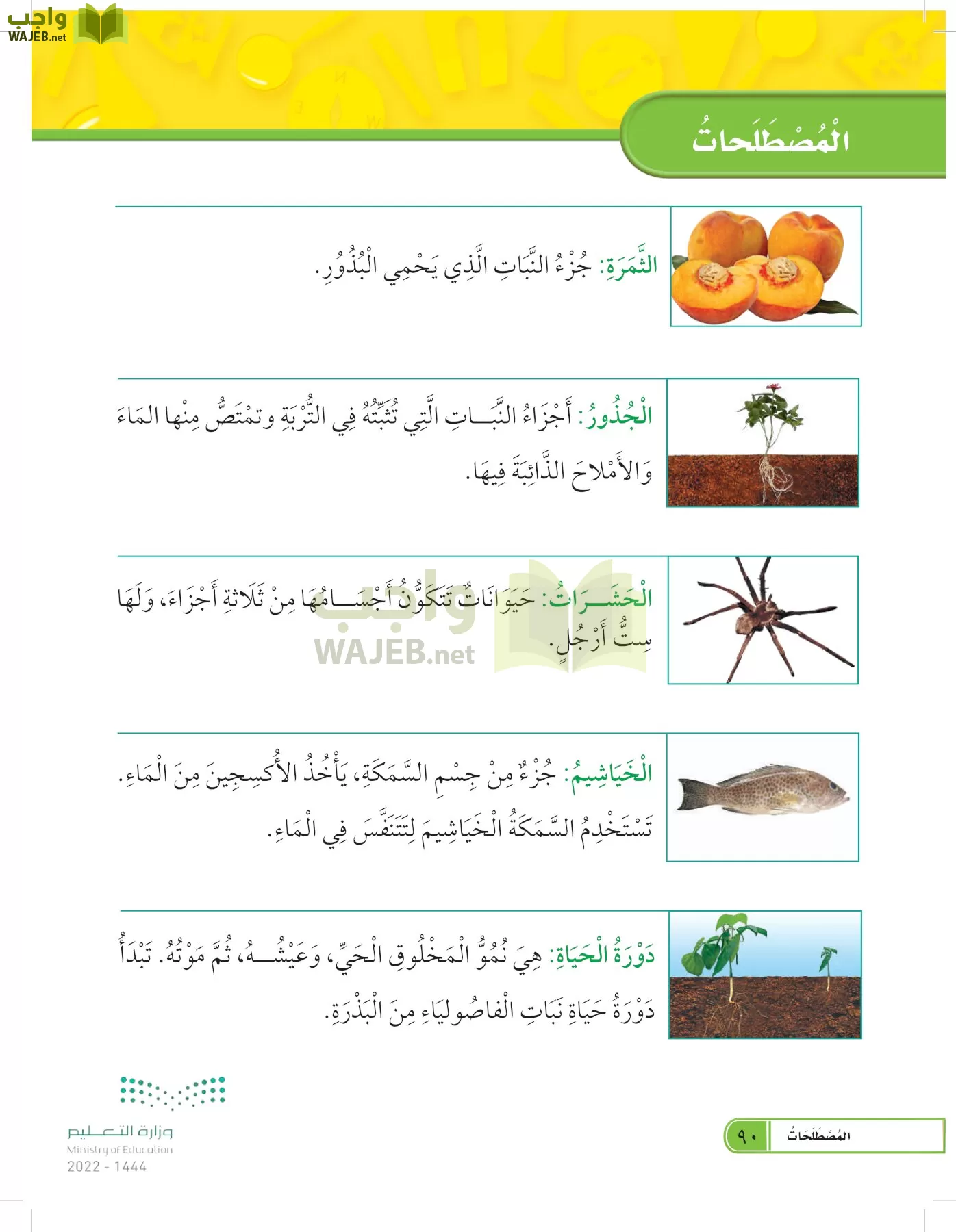 العلوم page-89