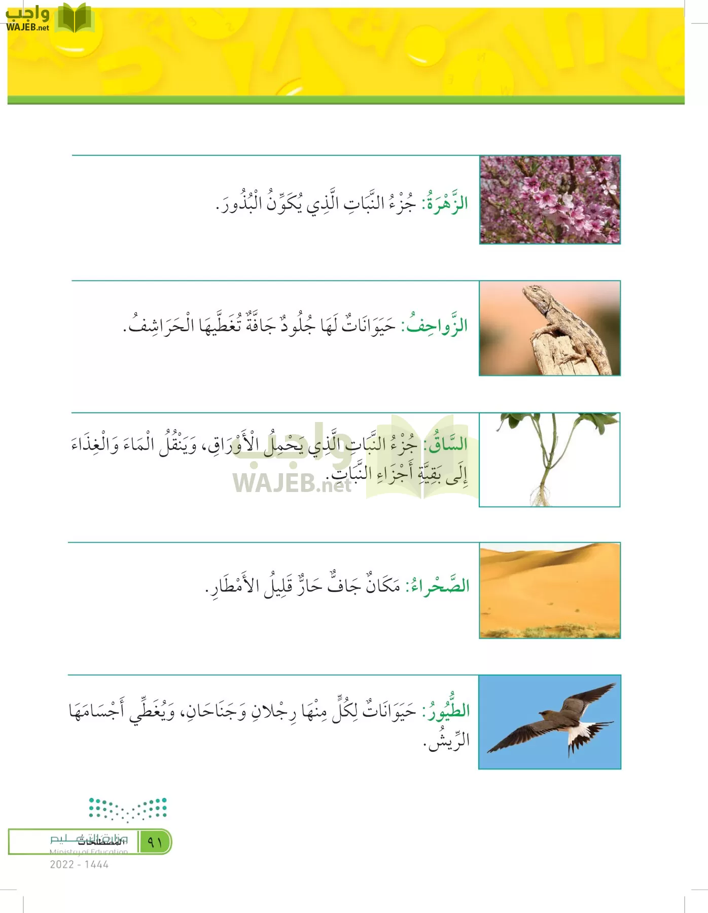 العلوم page-90