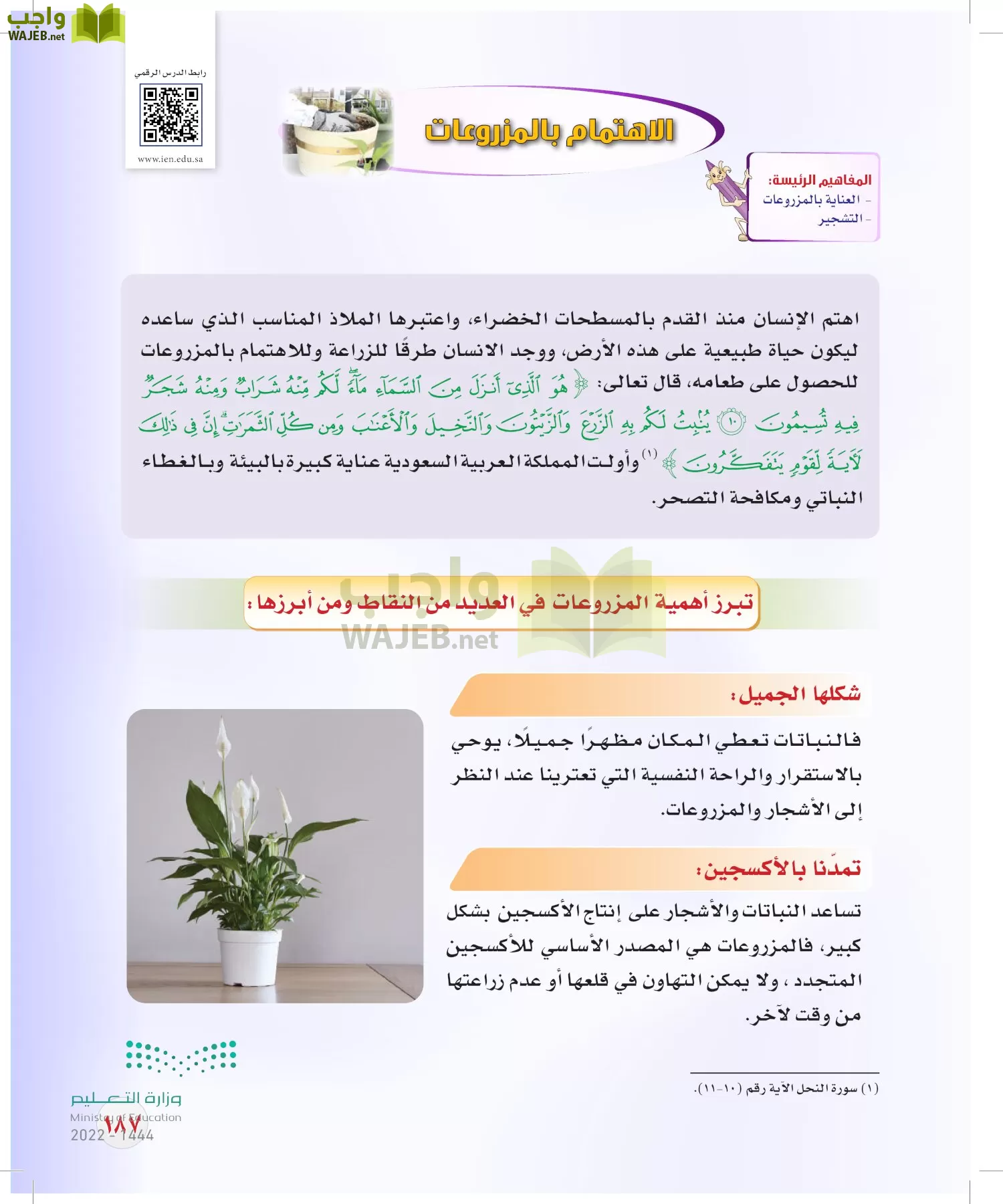 المهارات الحياتية والأسرية page-161
