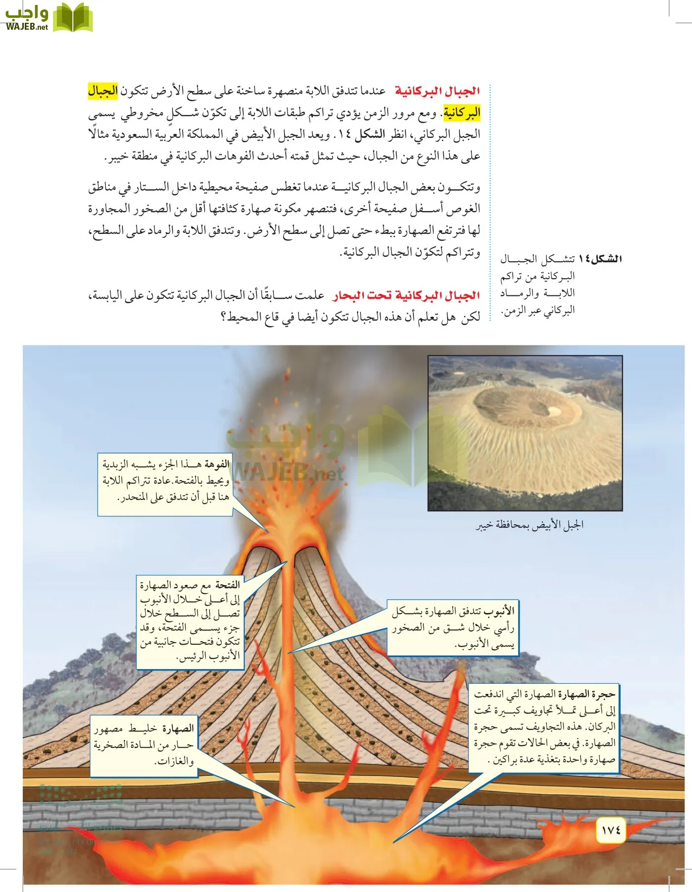 العلوم page-173