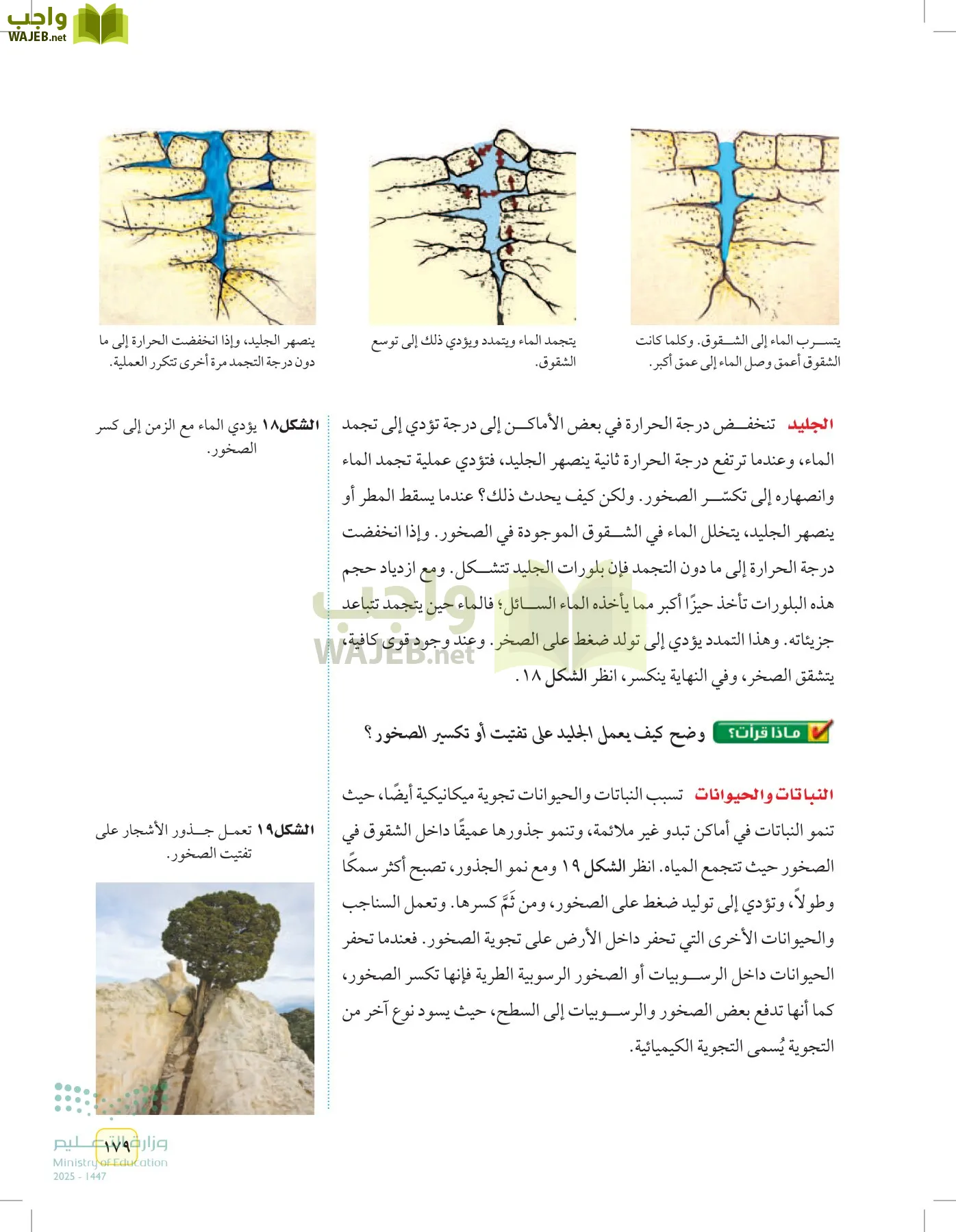 العلوم page-178