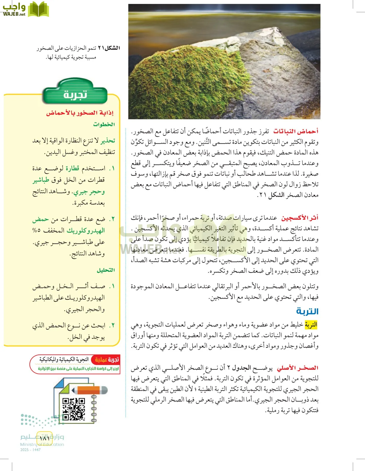 العلوم page-180