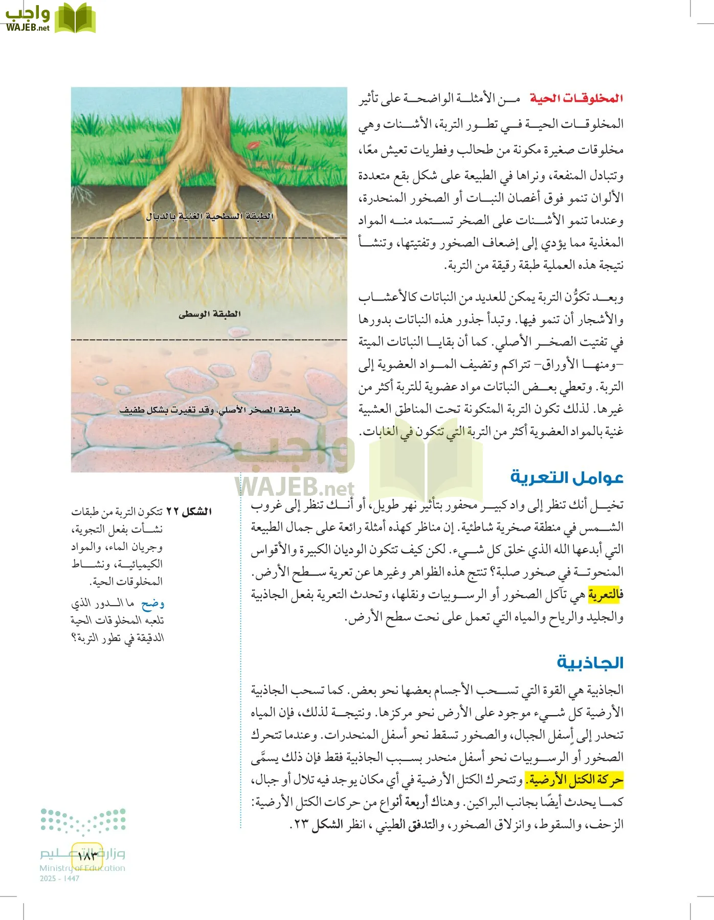 العلوم page-182