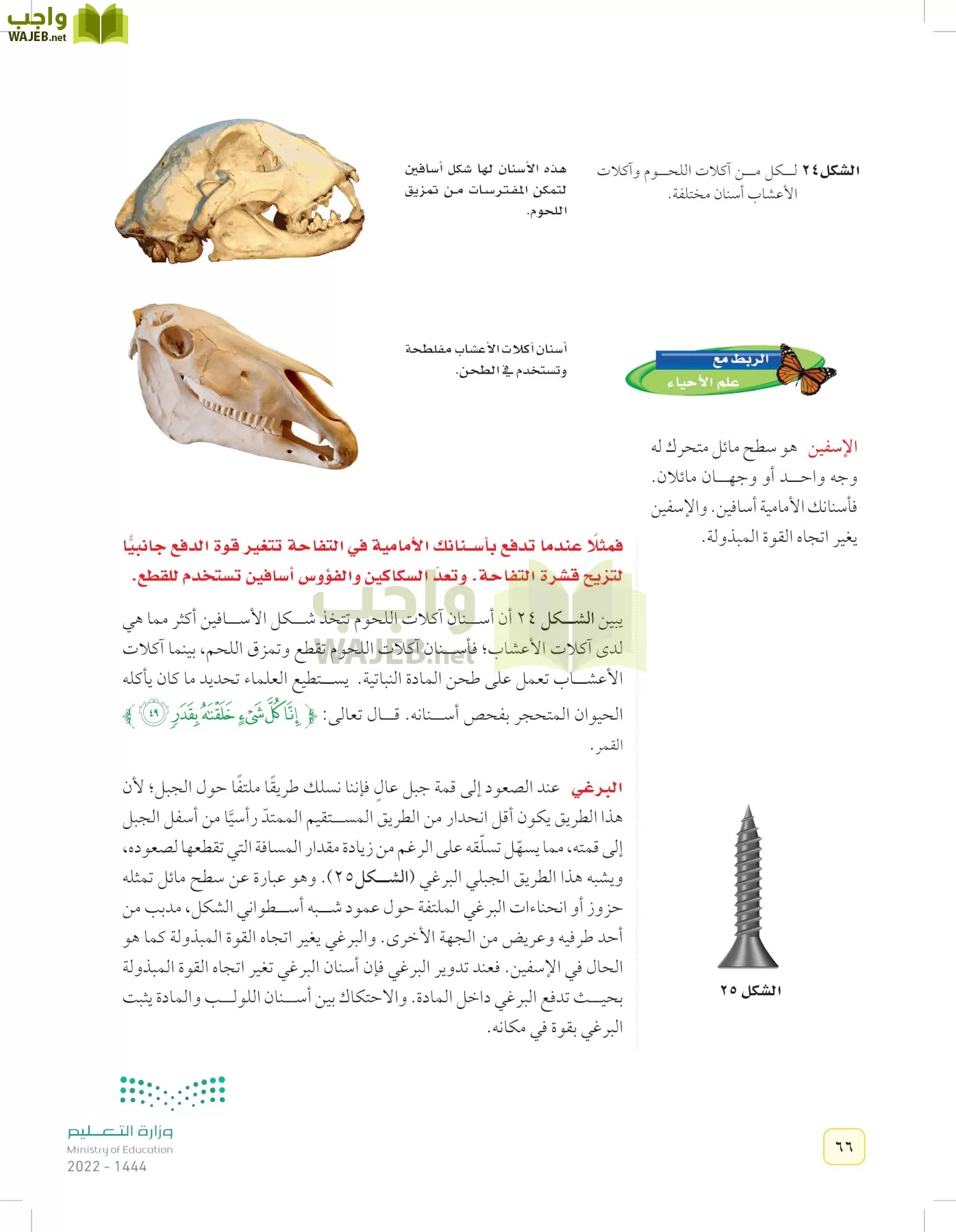 العلوم page-65