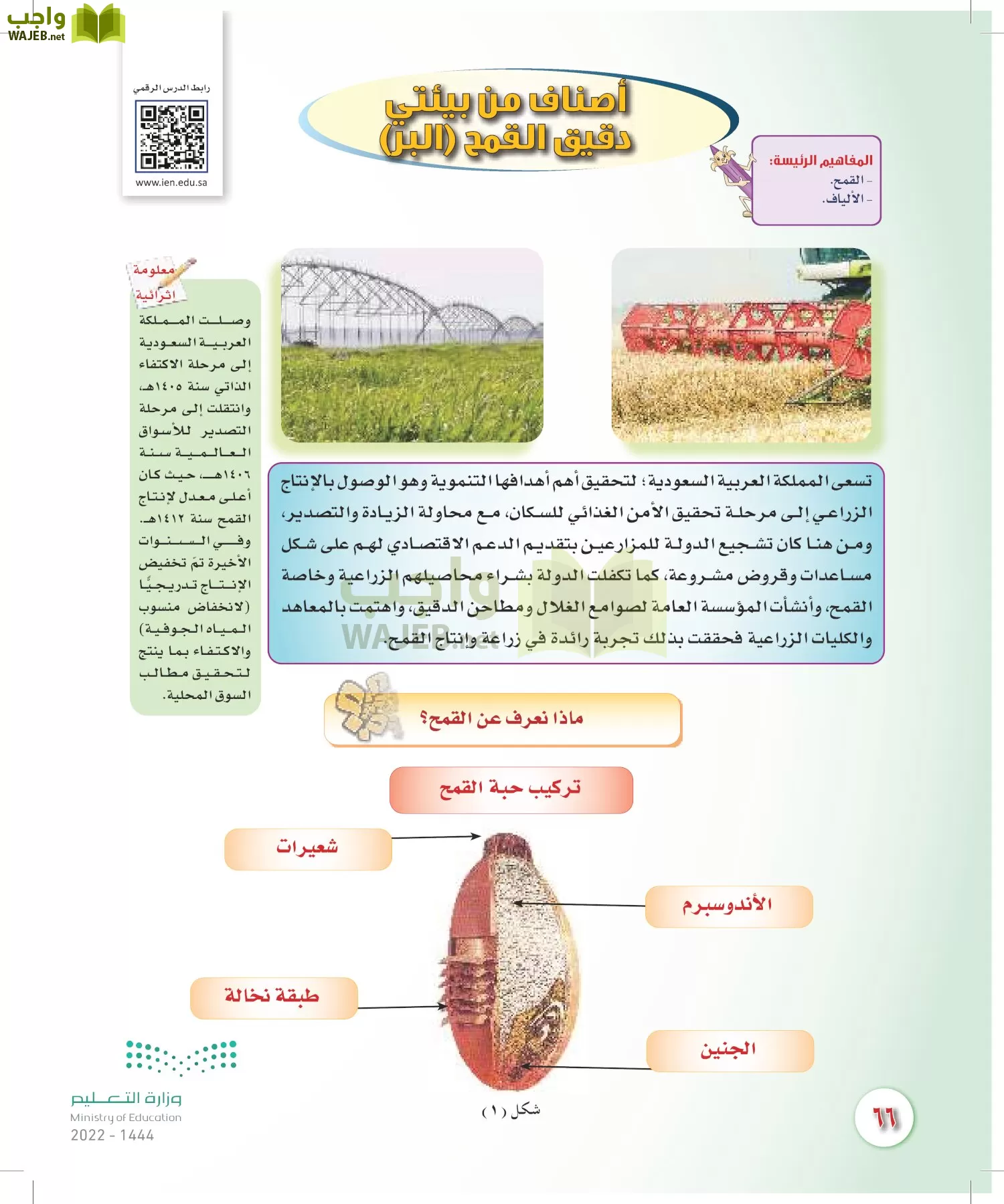المهارات الحياتية والأسرية page-65