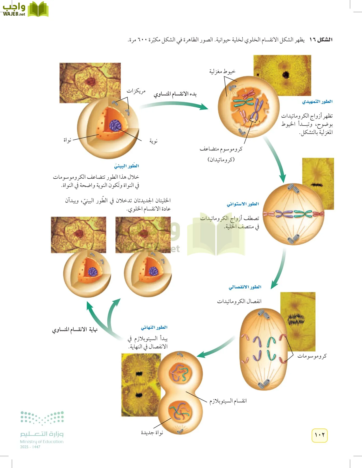 العلوم page-101