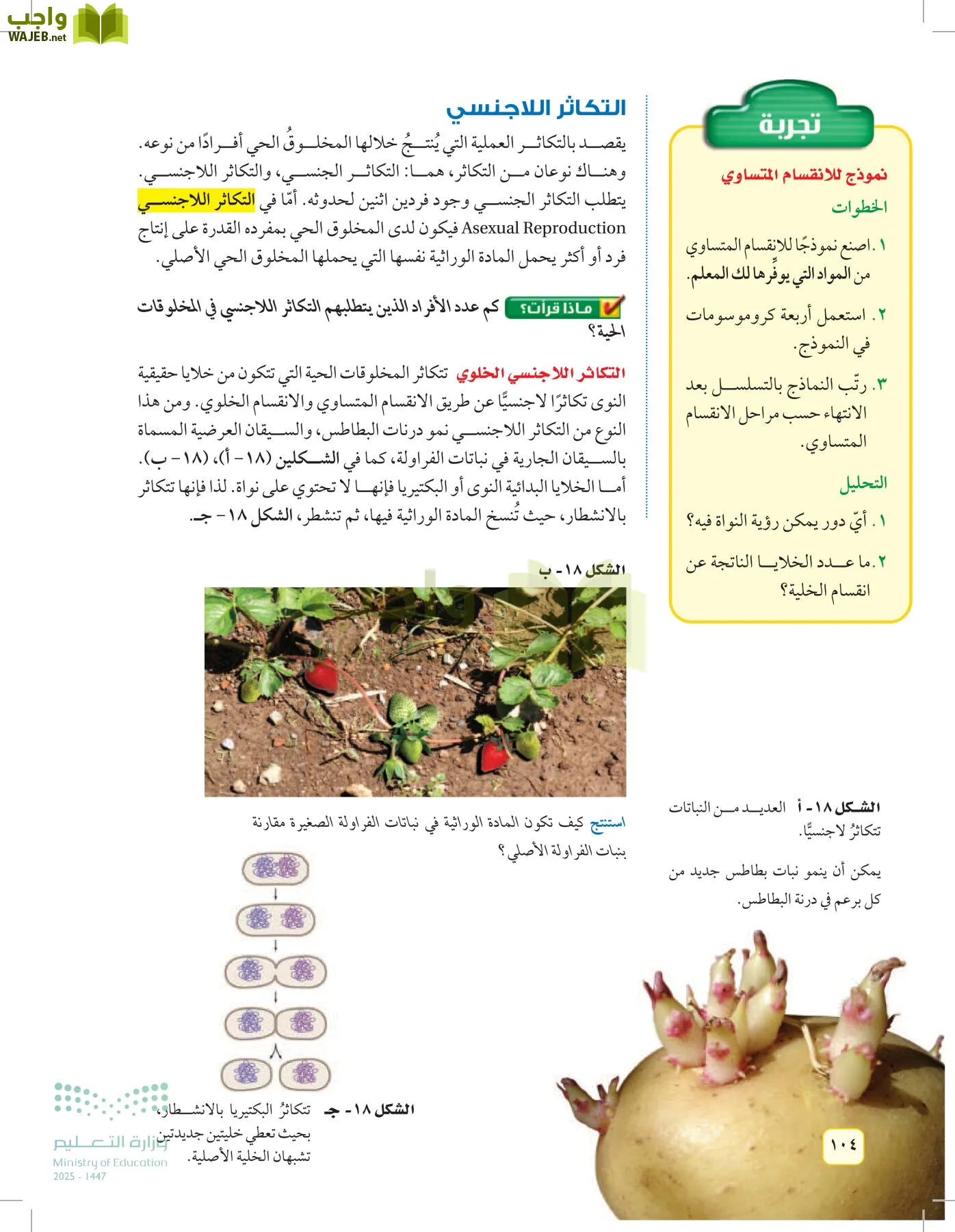 العلوم page-103