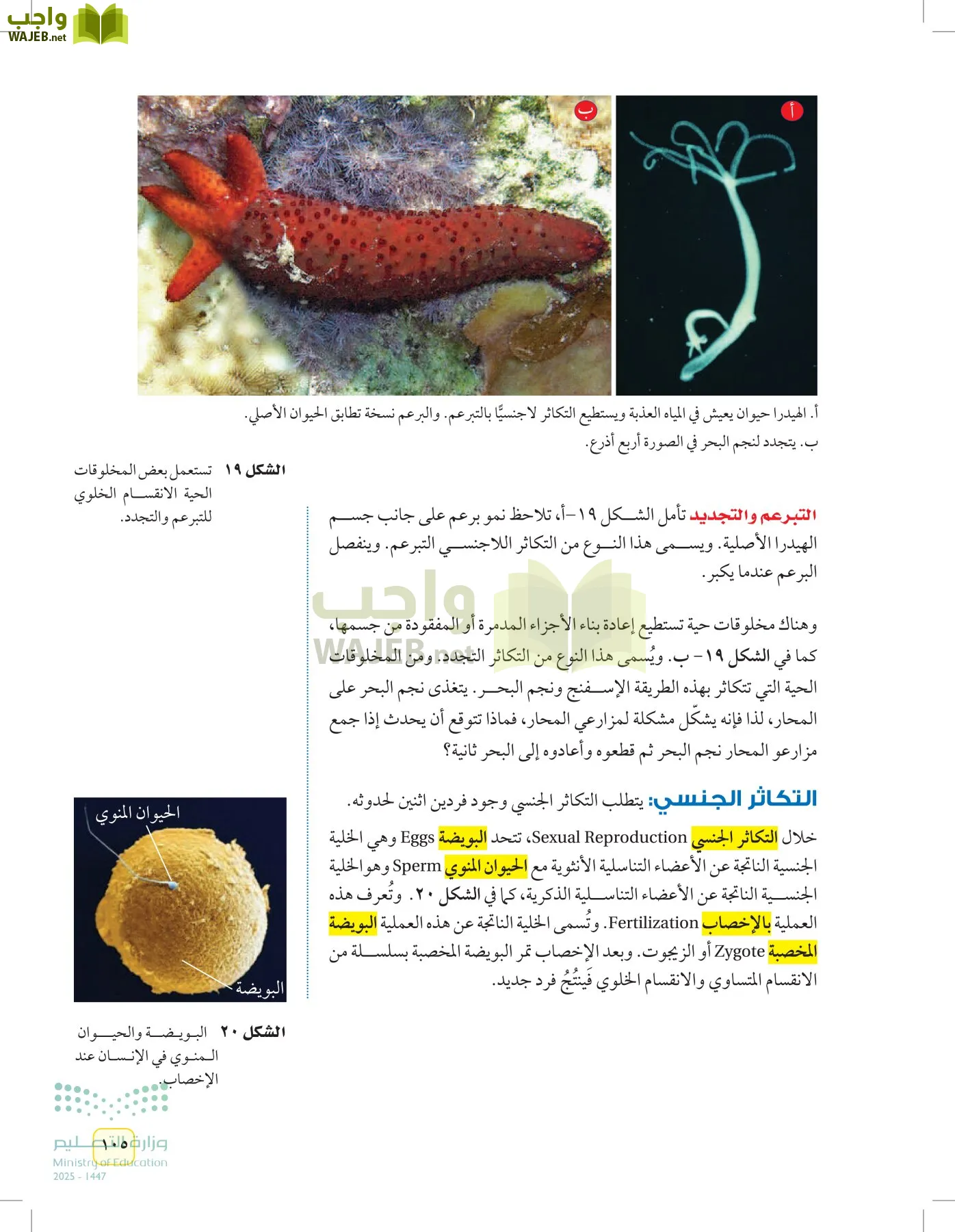 العلوم page-104