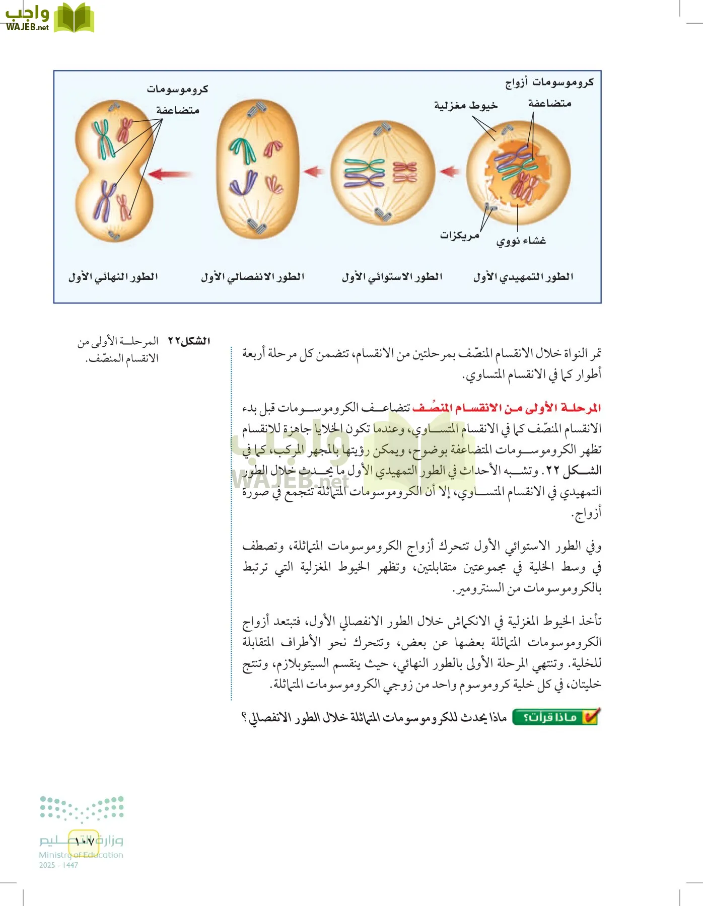 العلوم page-106