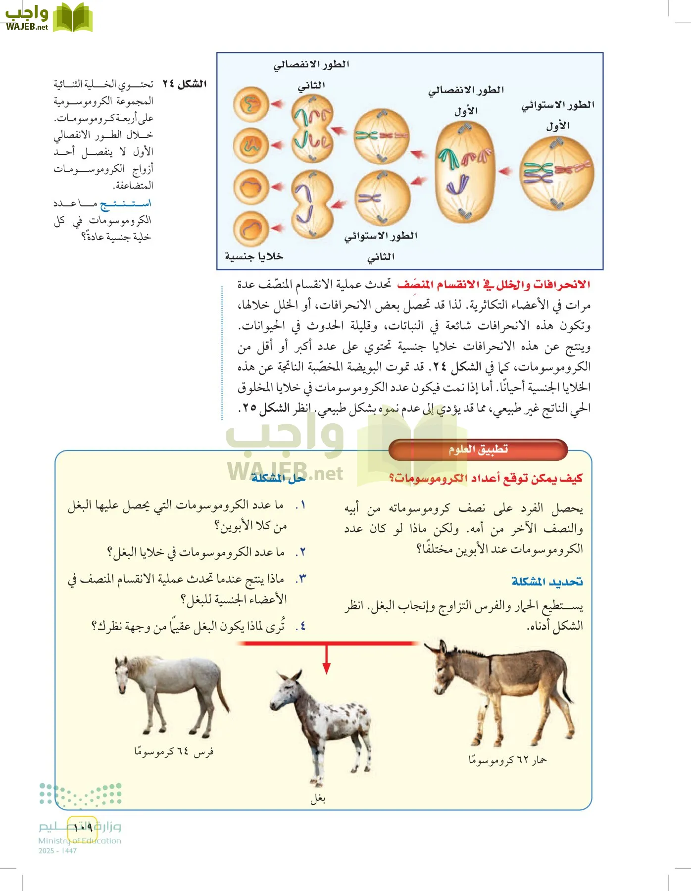 العلوم page-108