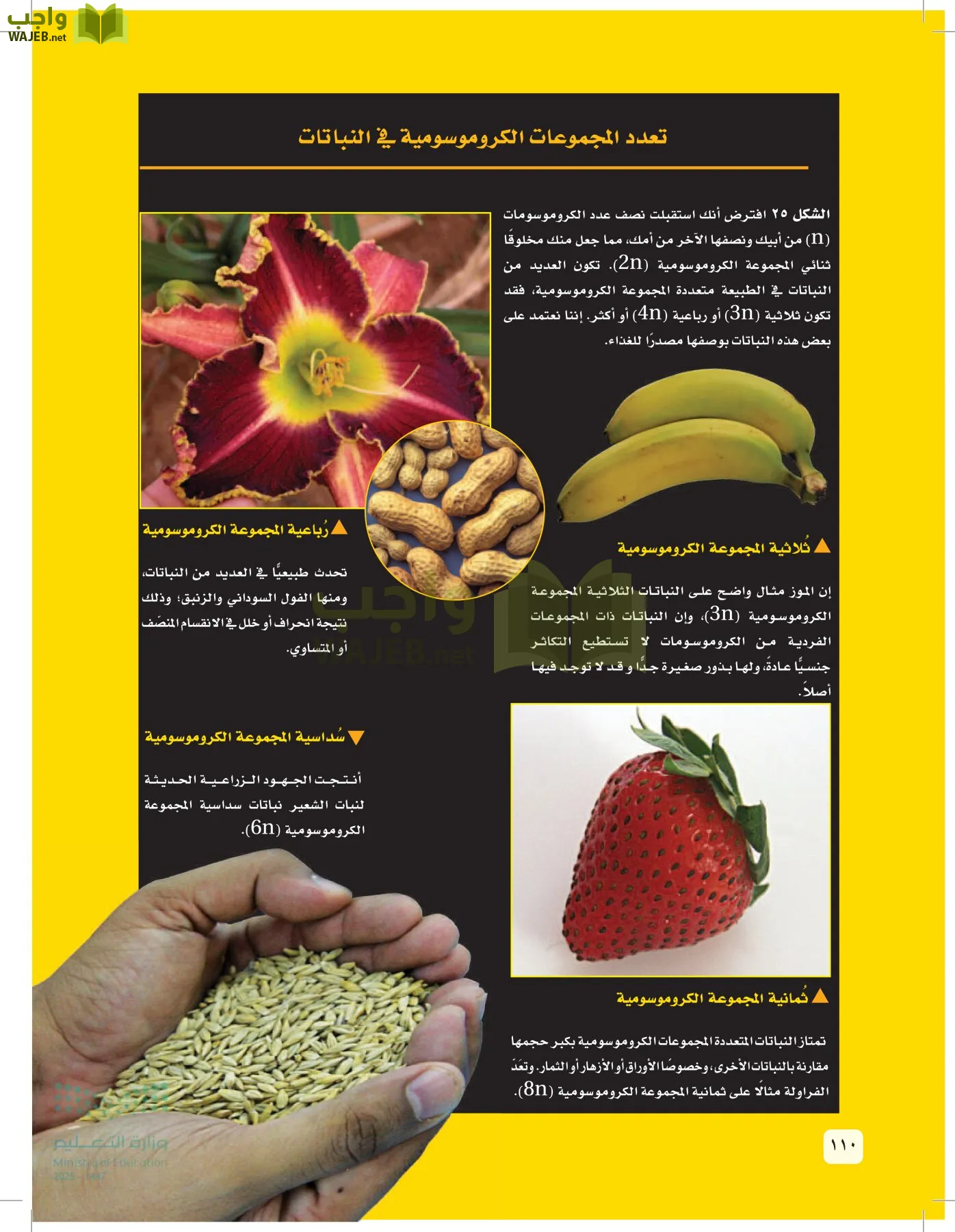 العلوم page-109