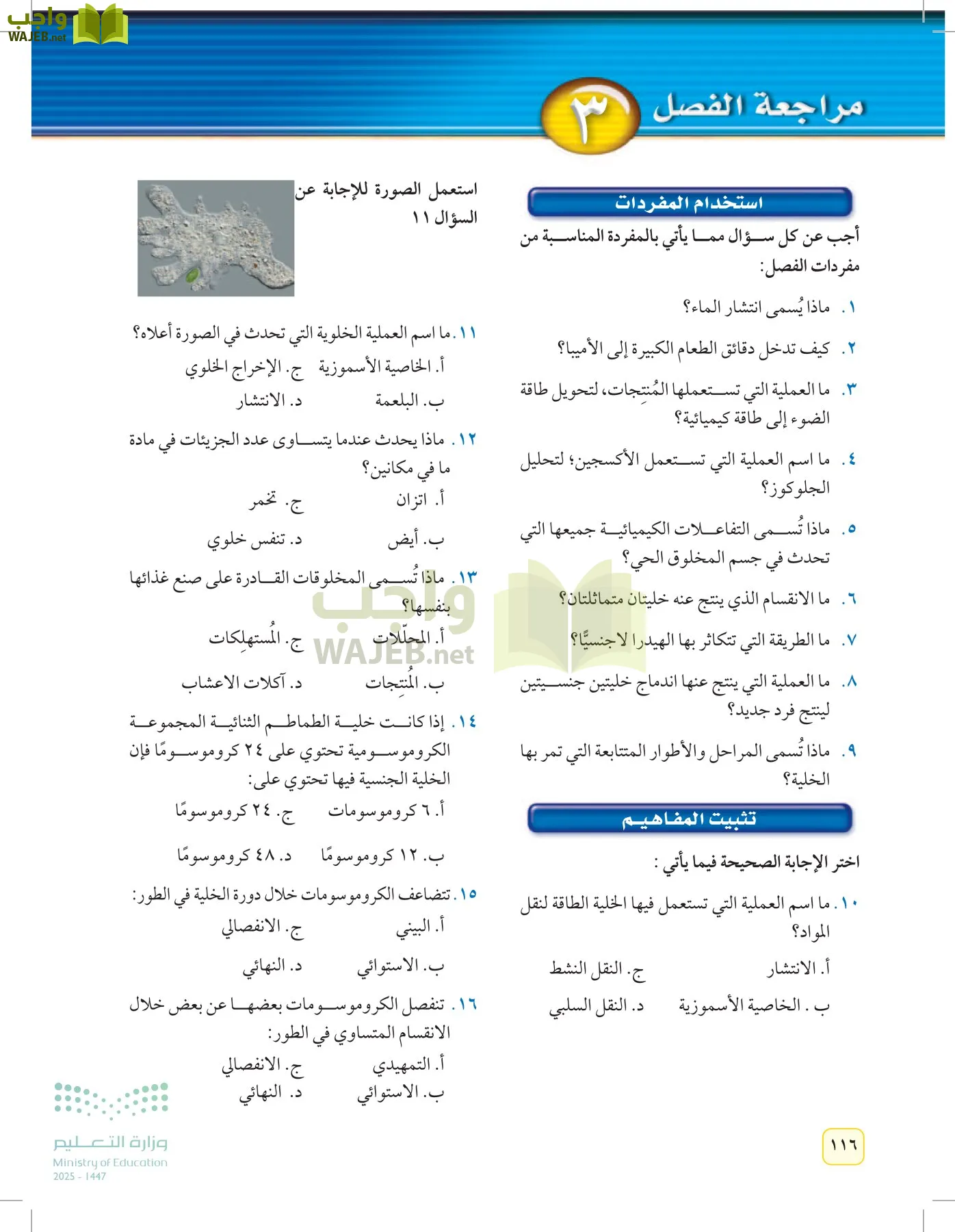 العلوم page-115