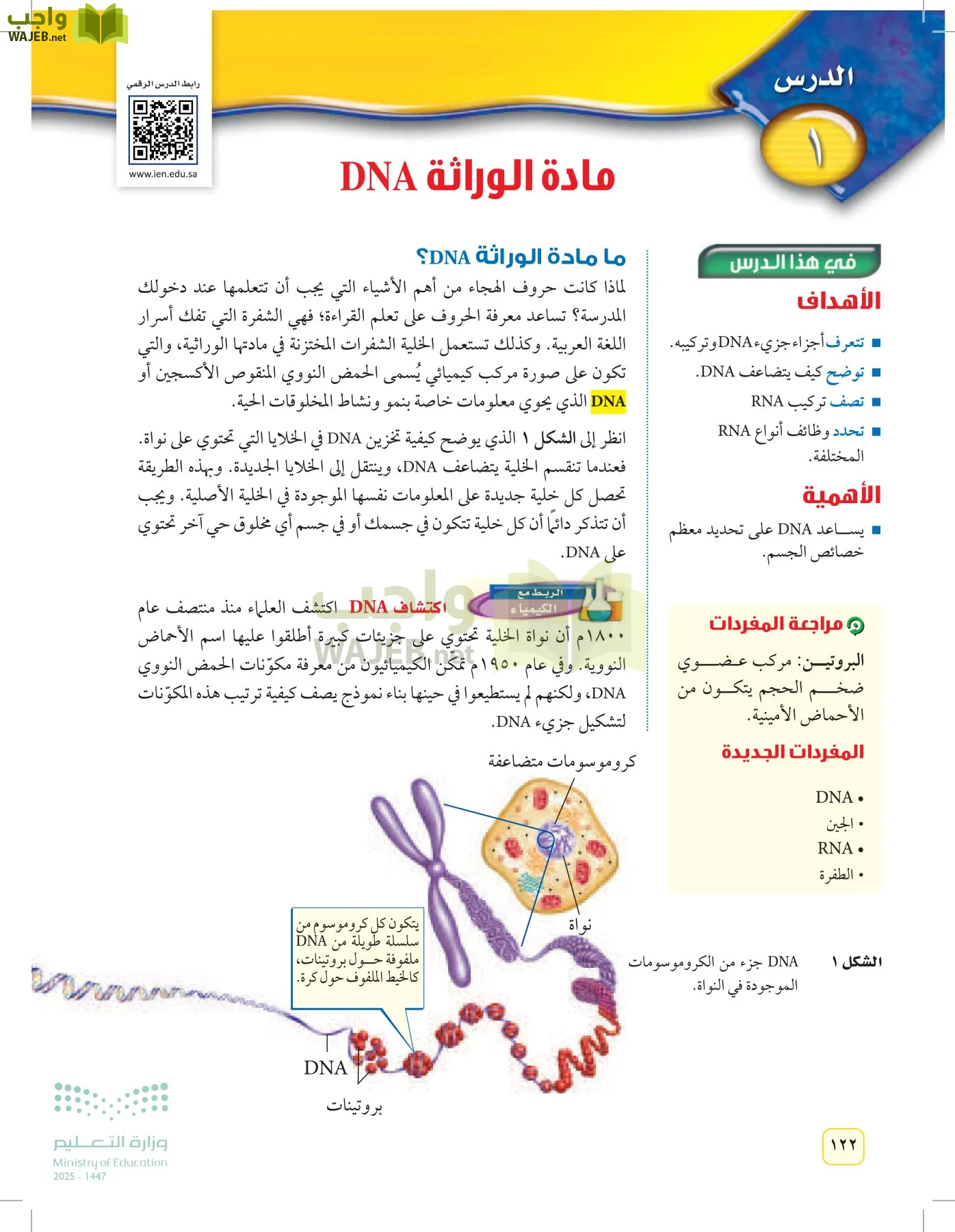 العلوم page-121