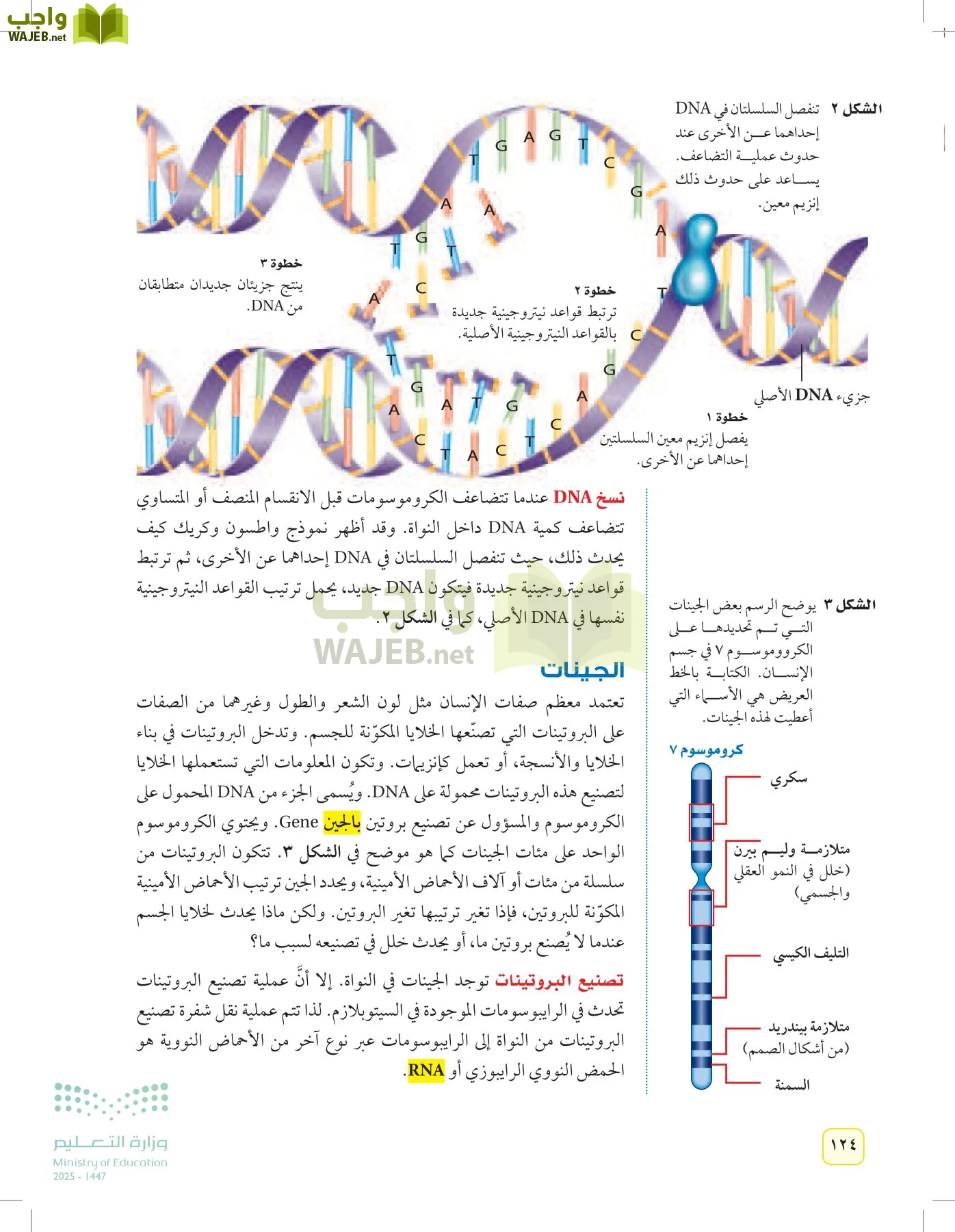 العلوم page-123