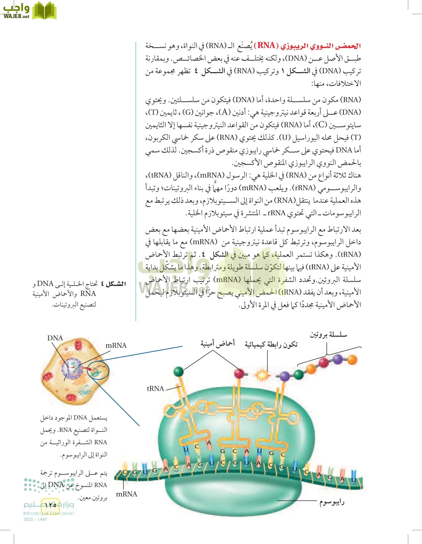 العلوم page-124