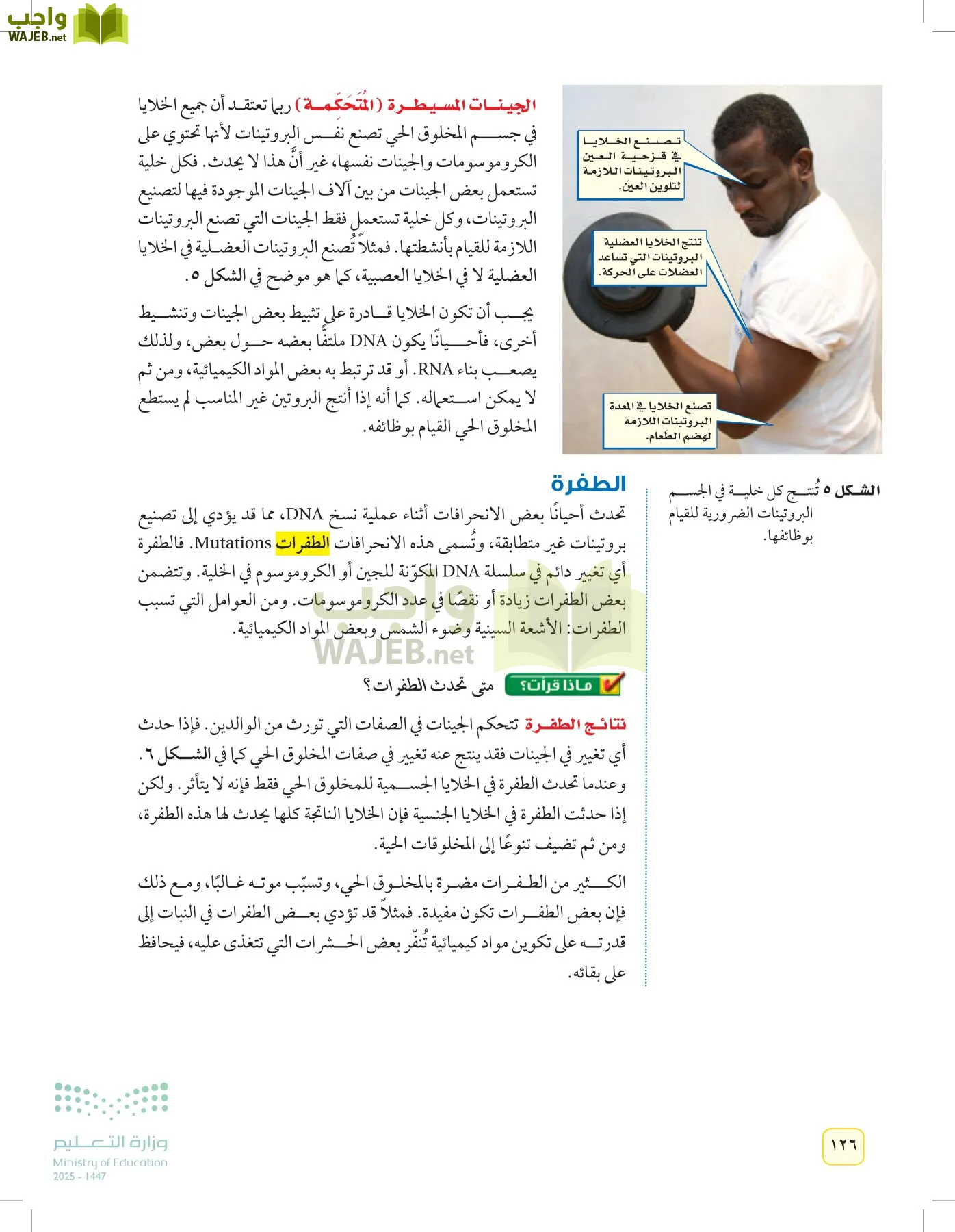 العلوم page-125