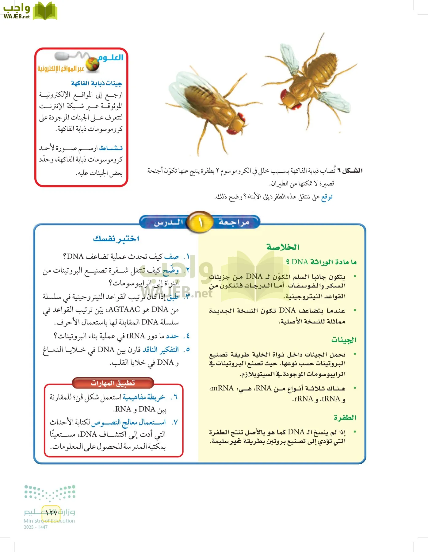 العلوم page-126
