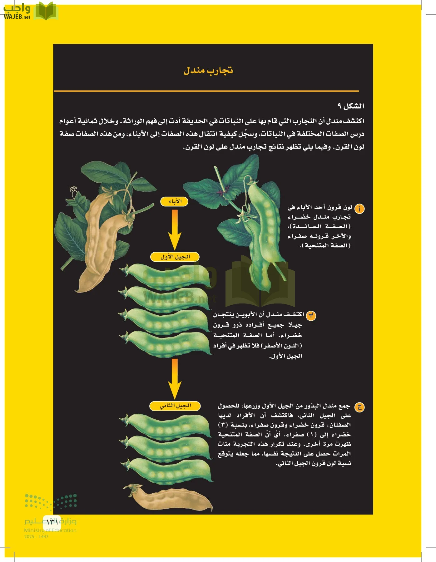 العلوم page-130