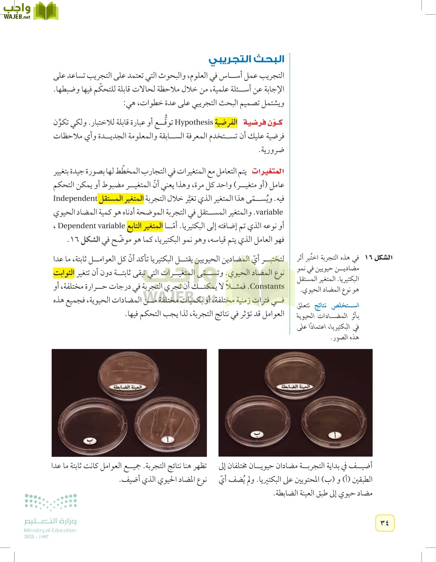 العلوم page-33