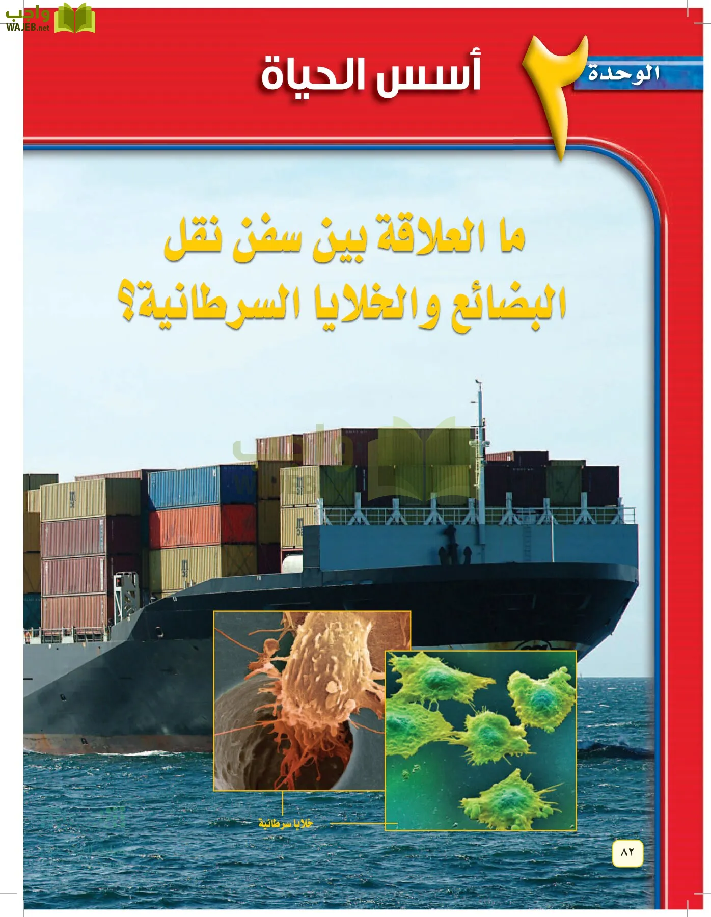 العلوم page-81