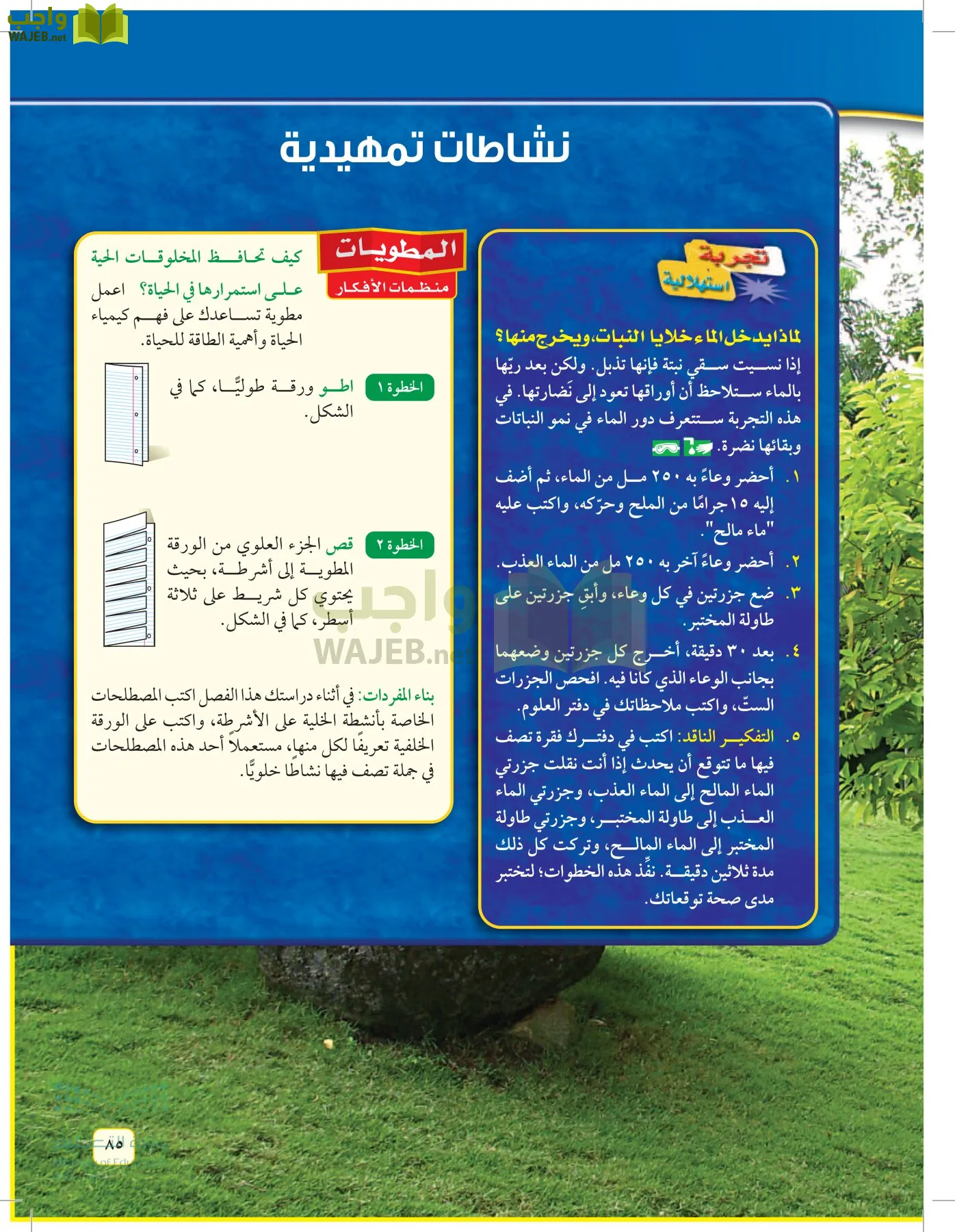 العلوم page-84