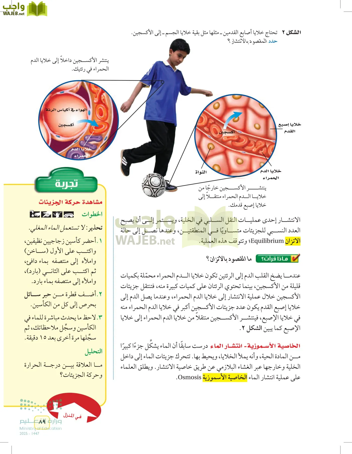 العلوم page-88