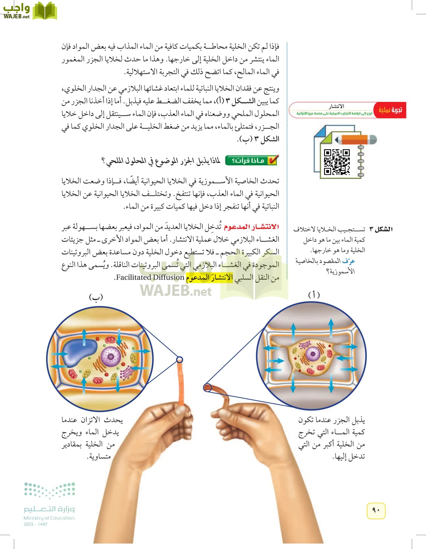 العلوم page-89