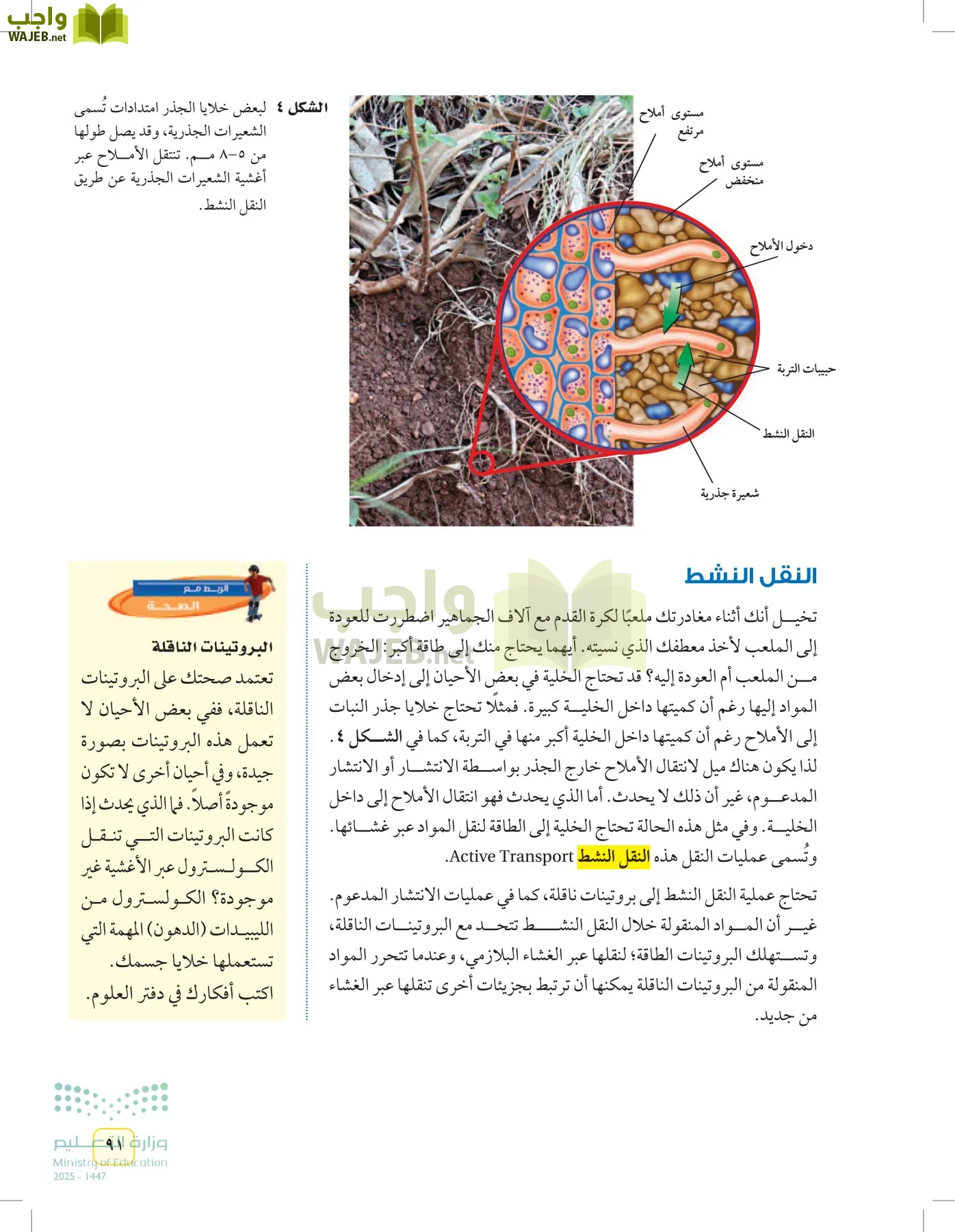 العلوم page-90