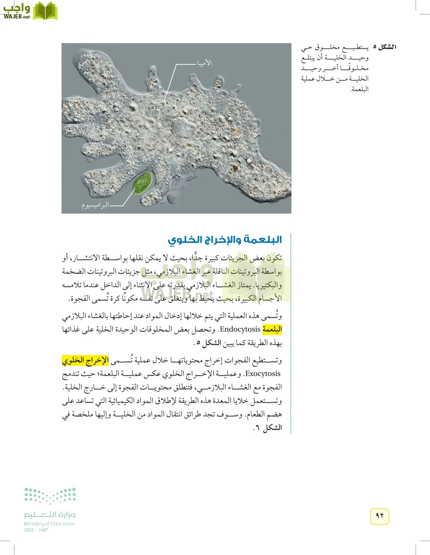 العلوم page-91