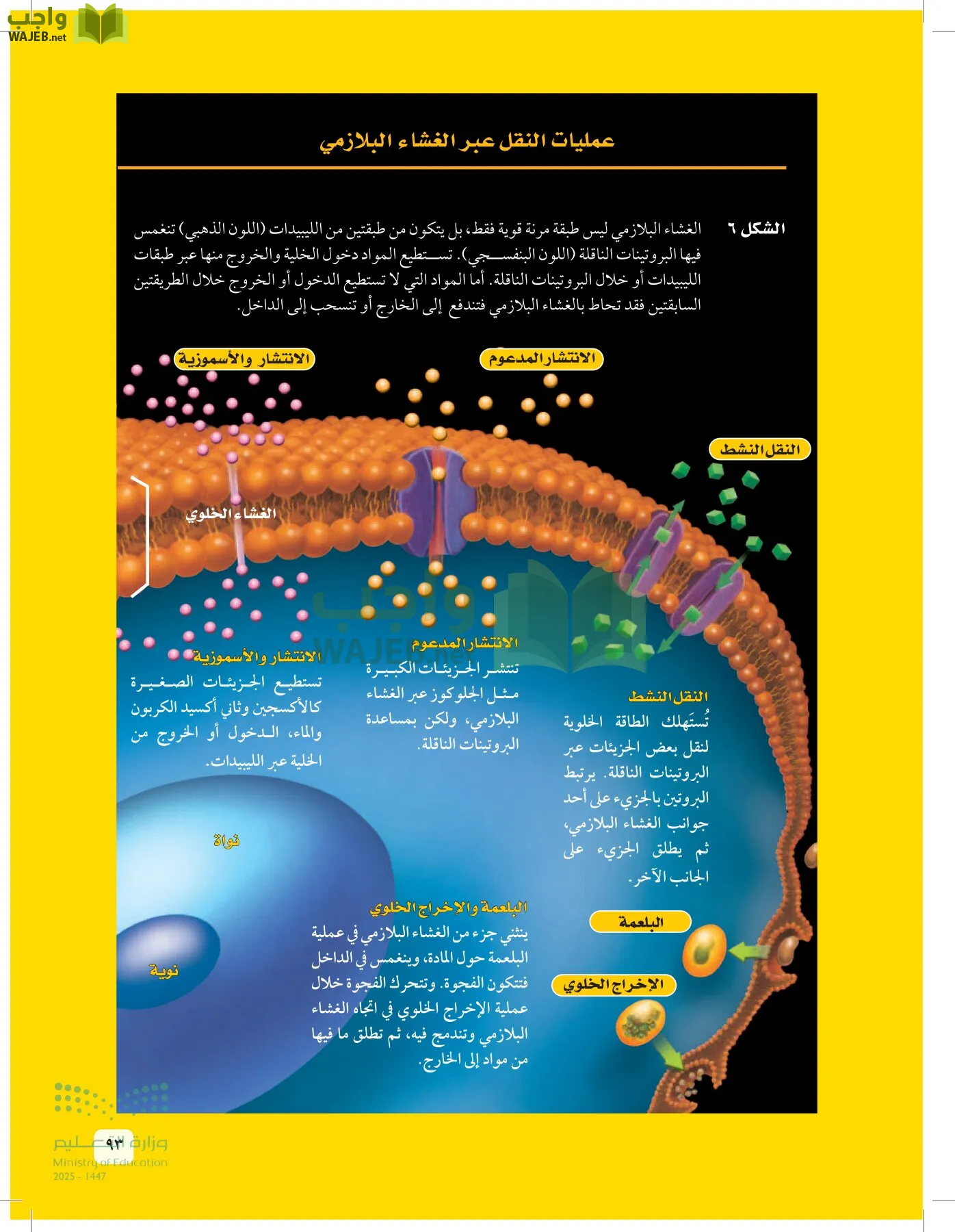 العلوم page-92