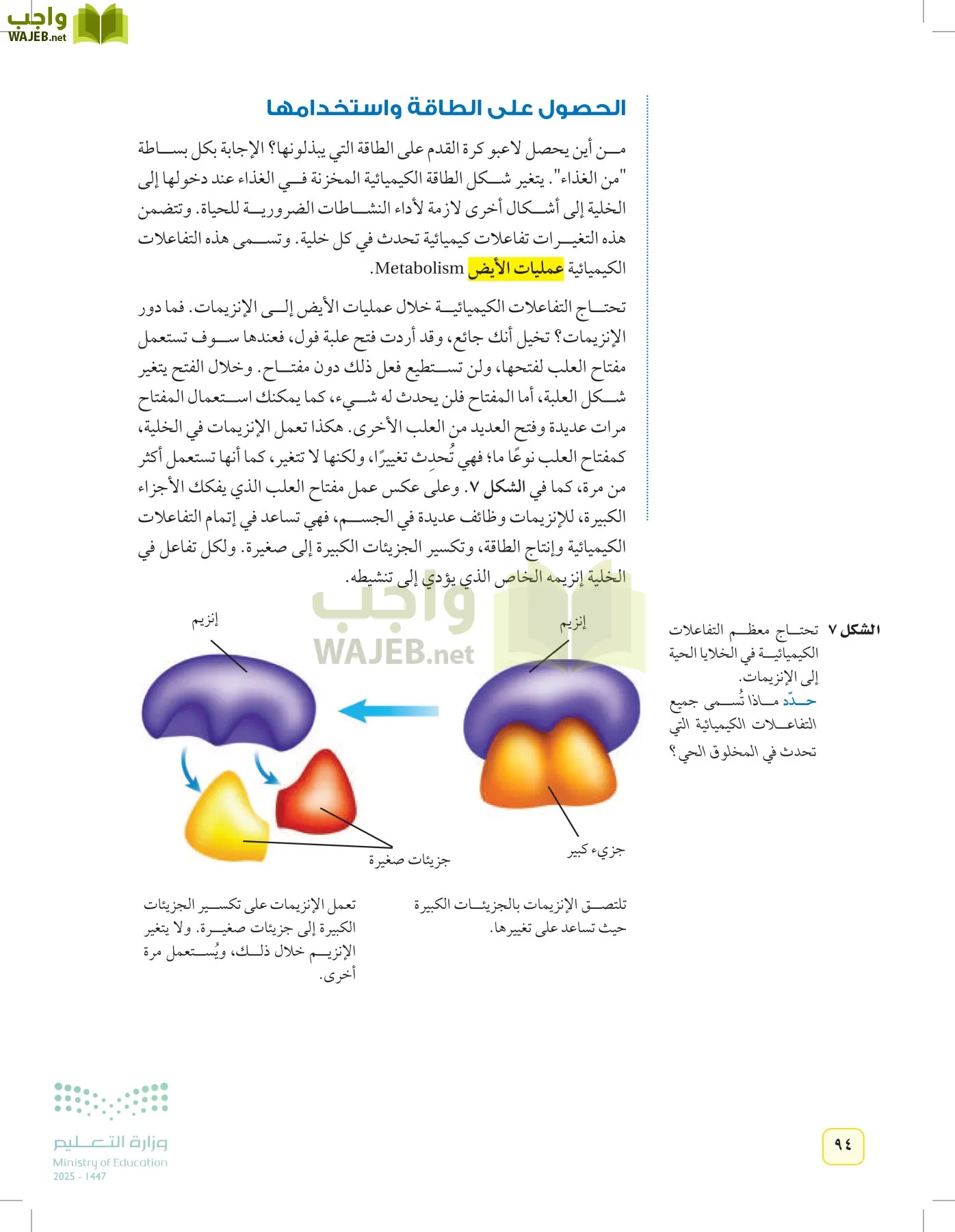 العلوم page-93
