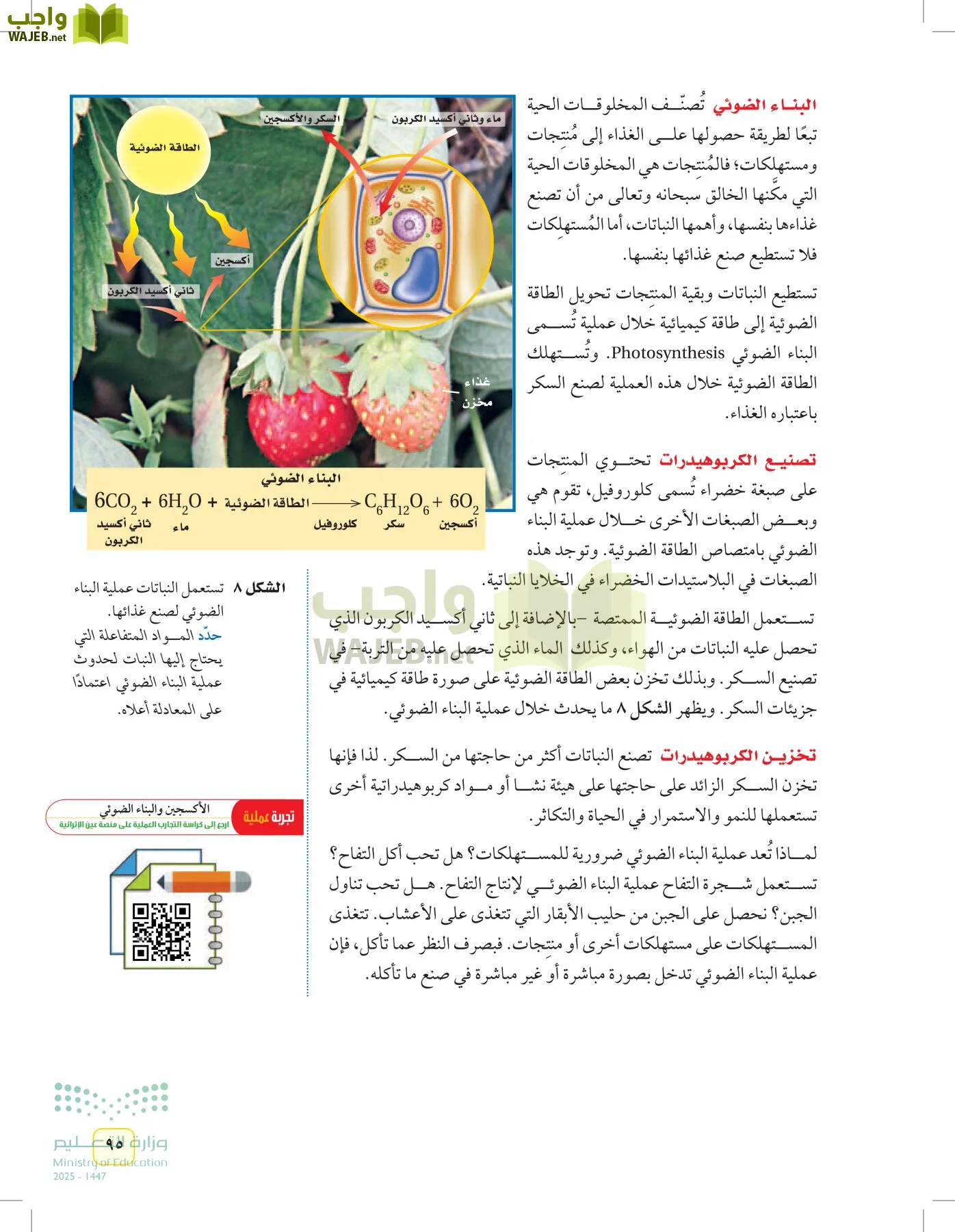 العلوم page-94