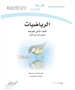 الرياضيات الرياضيات