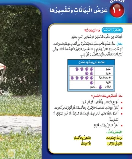 الفصل العاشر/عرض البيانات وتفسيرها الفصل العاشر/عرض البيانات وتفسيرها
