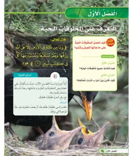 العلوم ثالث ابتدائي الفصل الاول